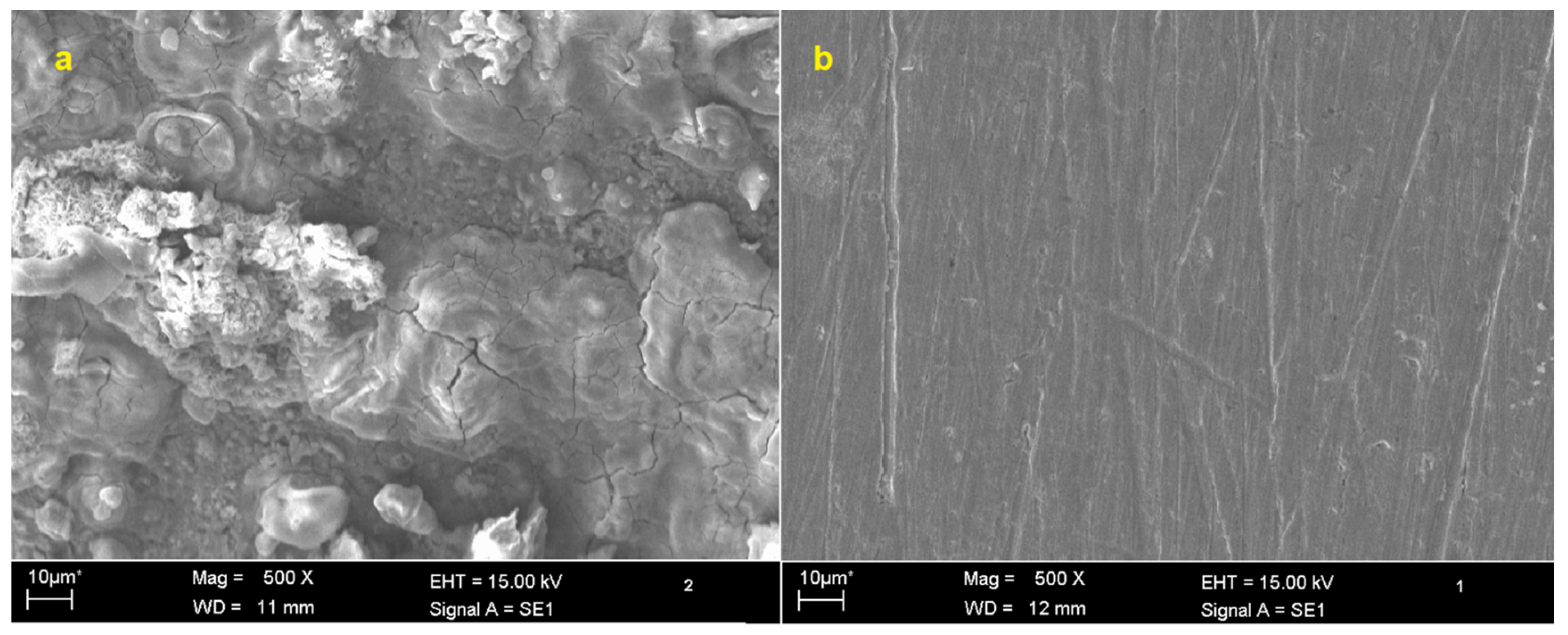 Lubricants 10 00023 g008