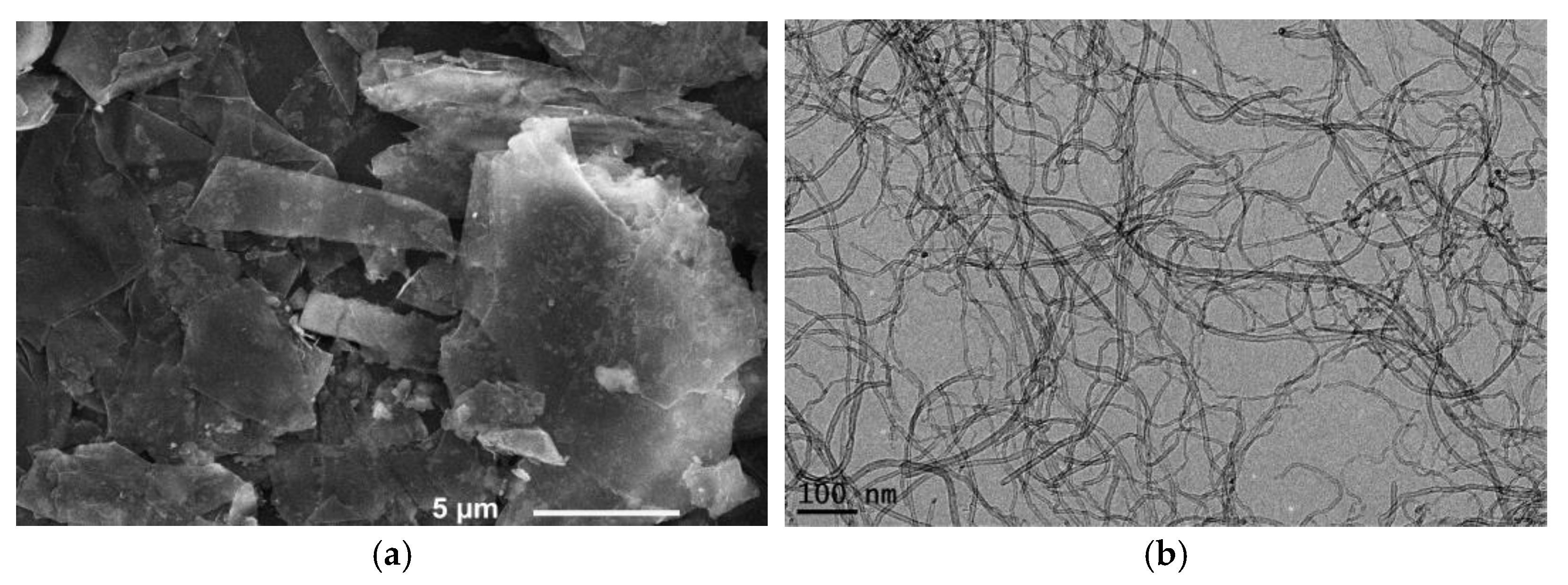 Lubricants 10 00029 g003