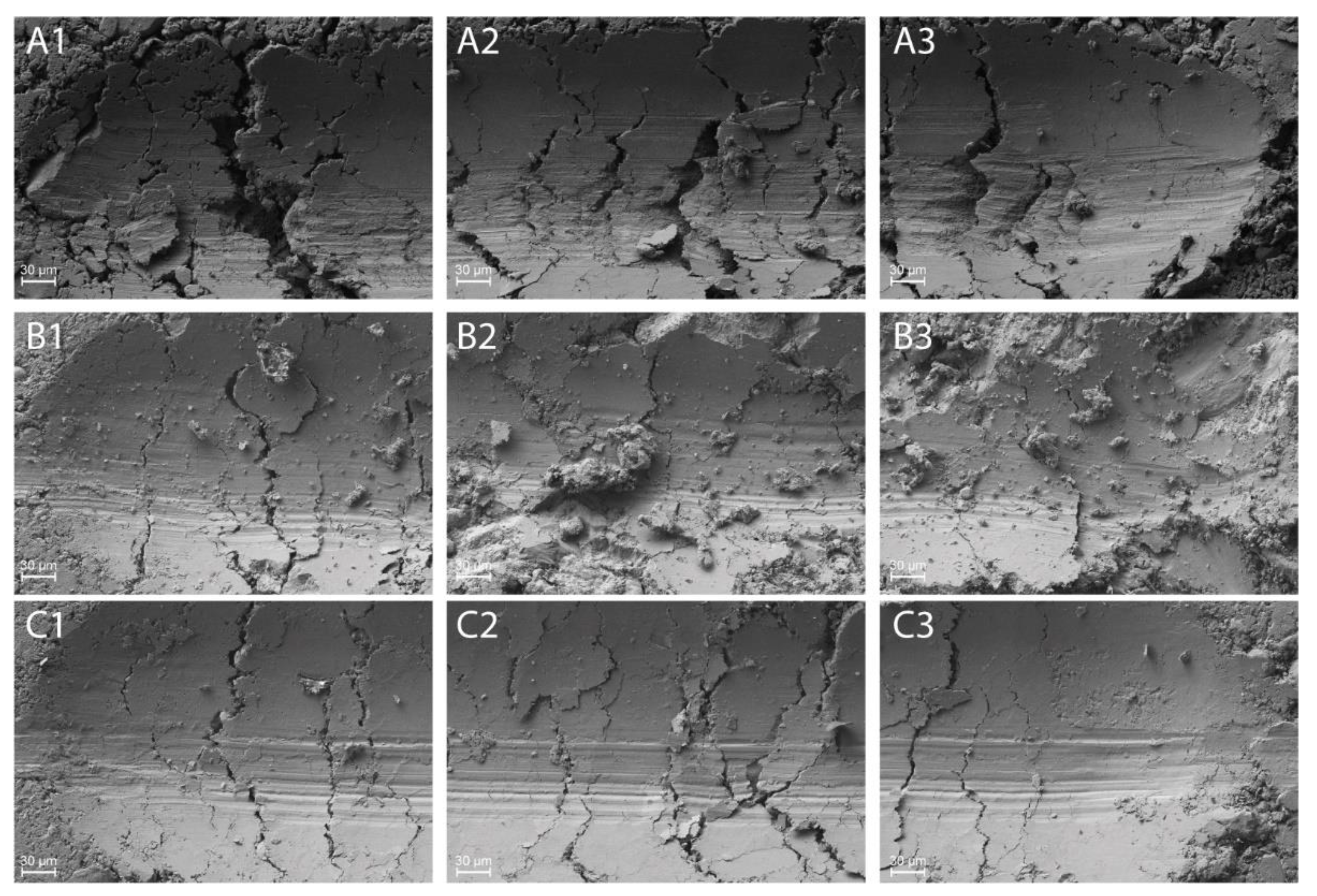 Lubricants 10 00035 g016a