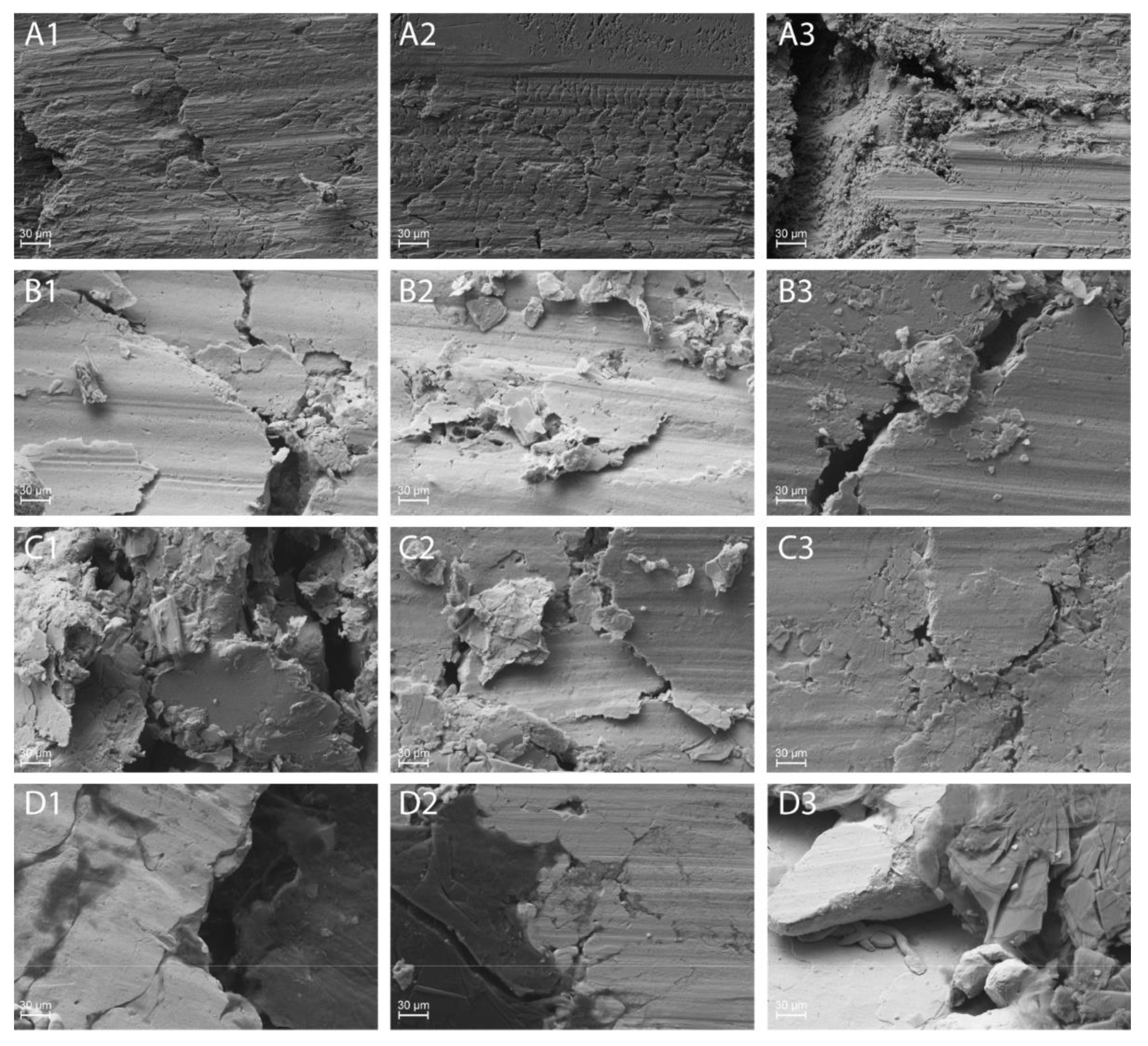 Lubricants 10 00035 g019
