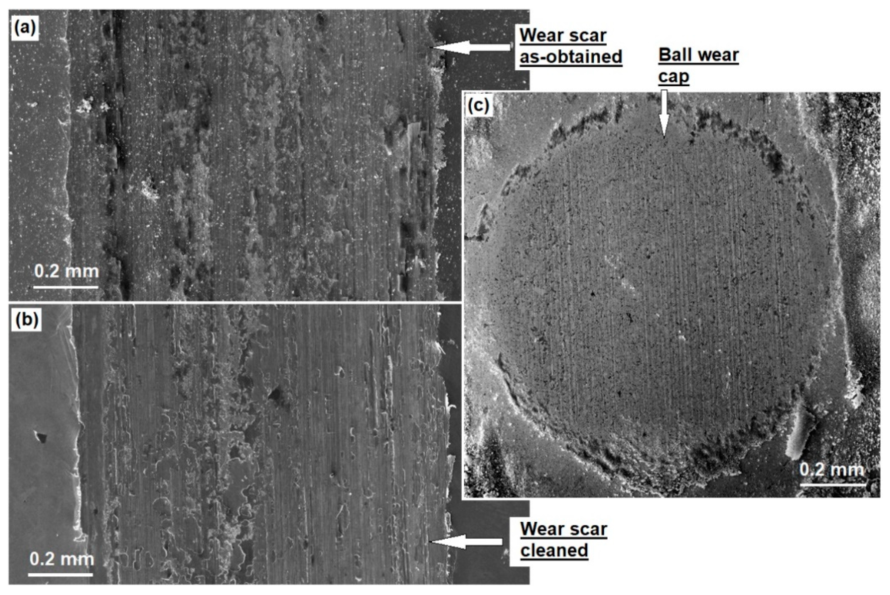 Lubricants 10 00037 g003 Lubricants 10 00037 g003