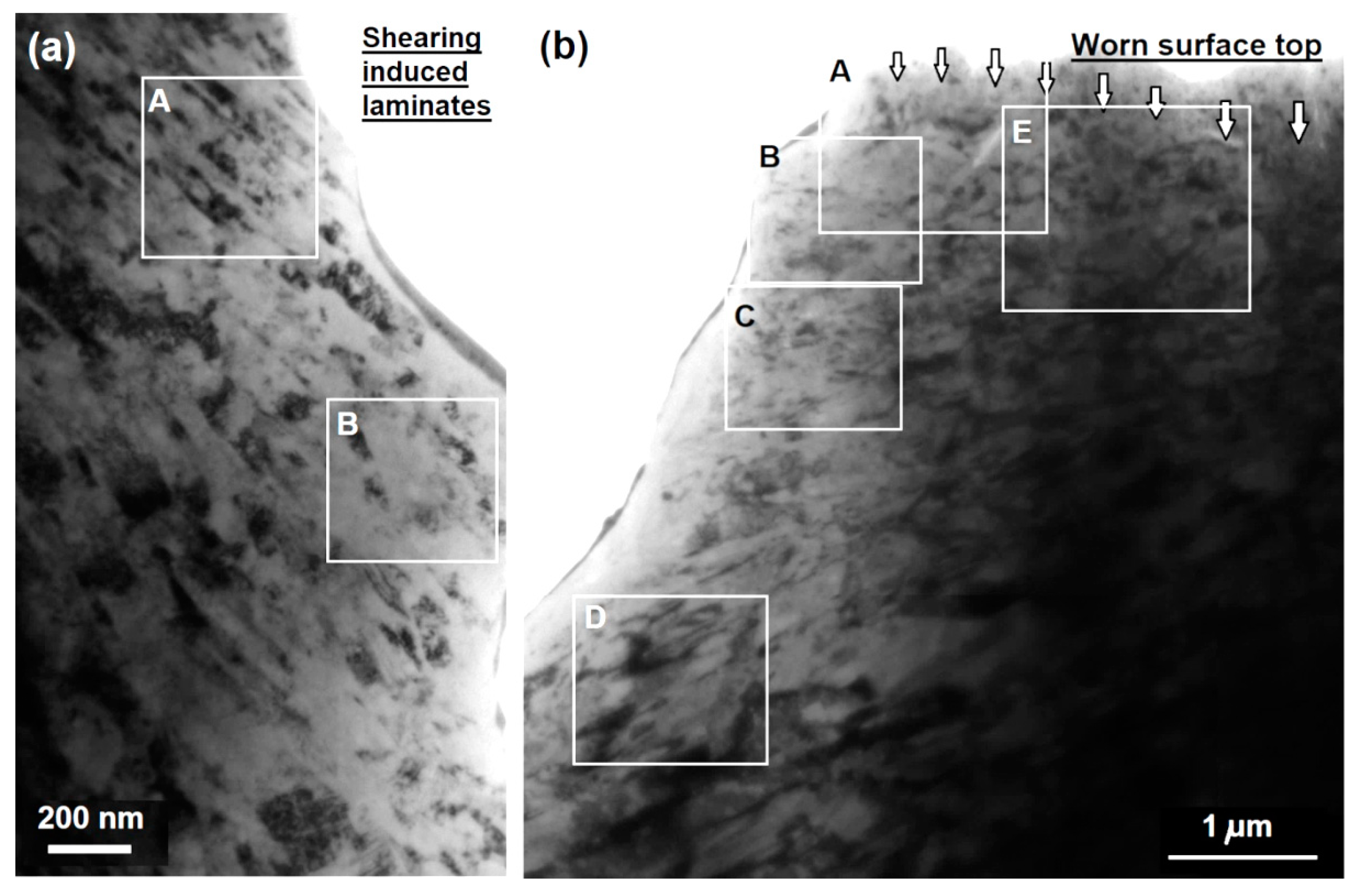 Lubricants 10 00037 g011 Lubricants 10 00037 g011