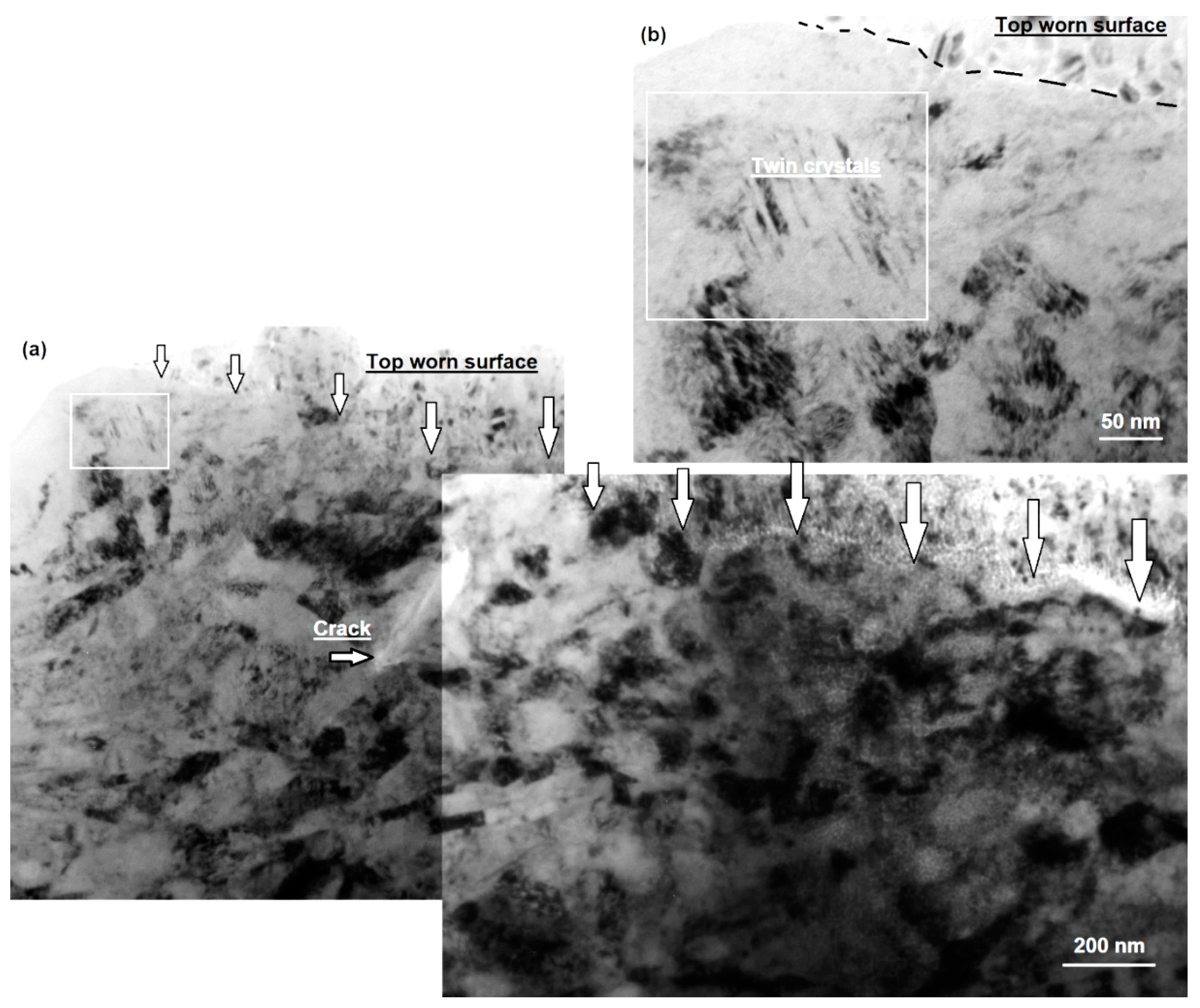 Lubricants 10 00037 g012 Lubricants 10 00037 g012