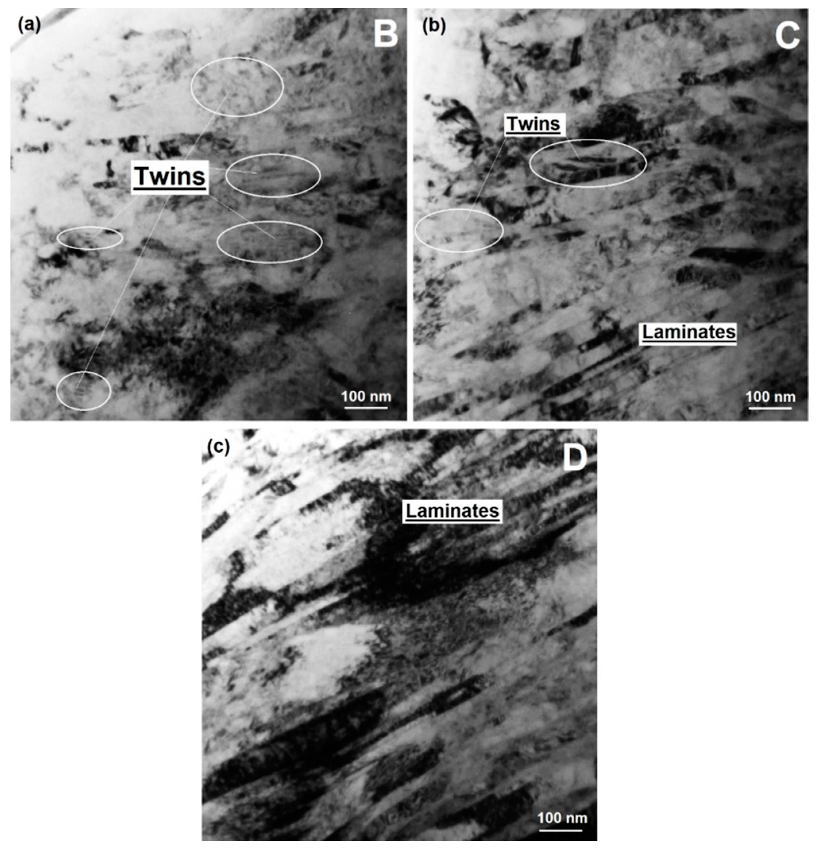 Lubricants 10 00037 g013 Lubricants 10 00037 g013