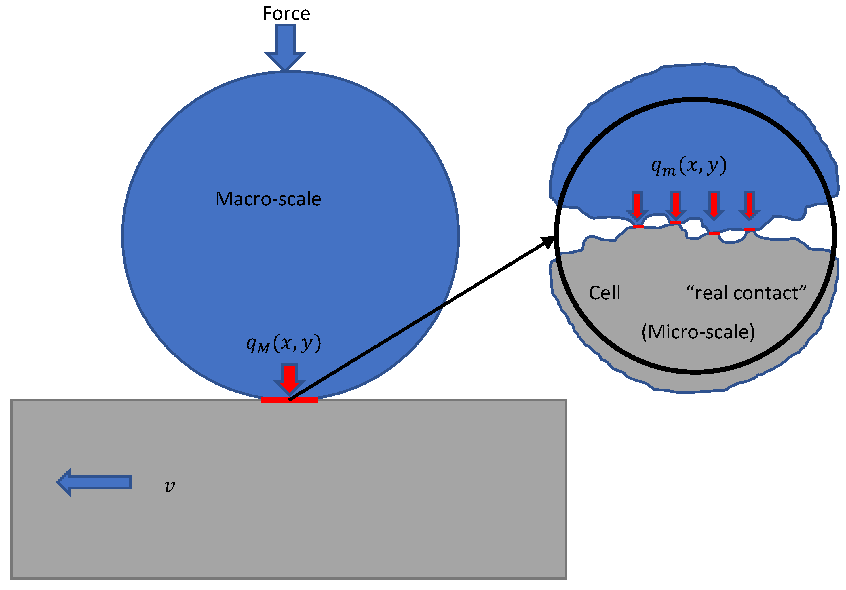 Lubricants 10 00041 g001