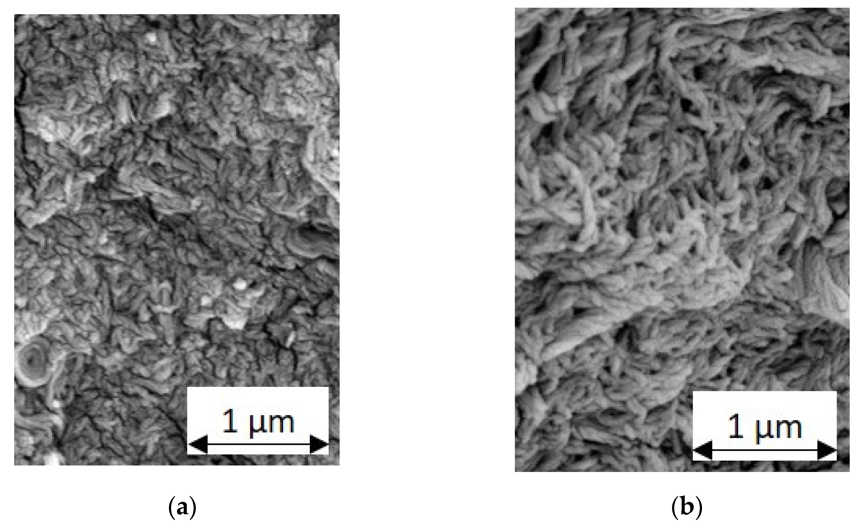 Lubricants 10 00055 g004