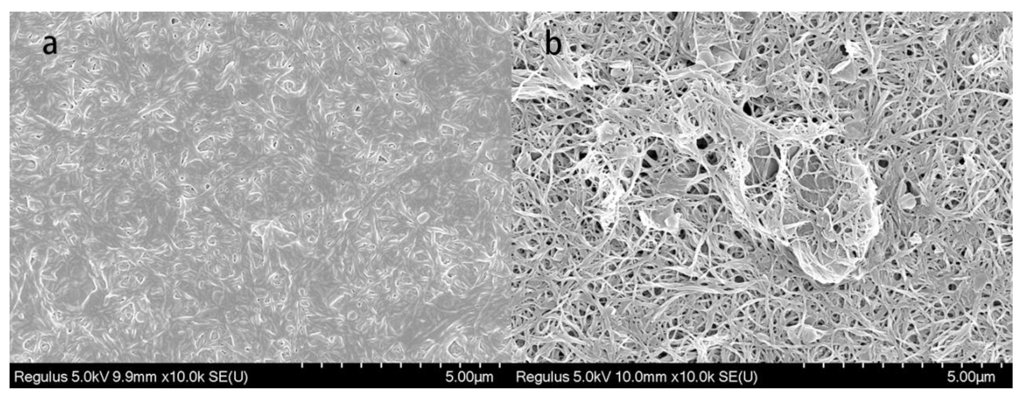 Lubricants 10 00057 g002