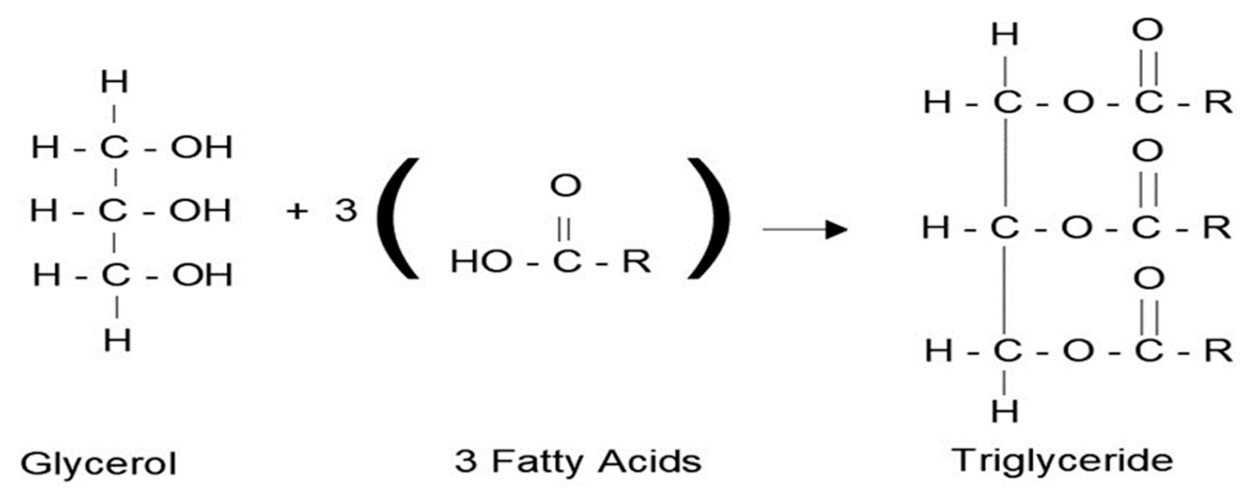Lubricants 10 00069 g002