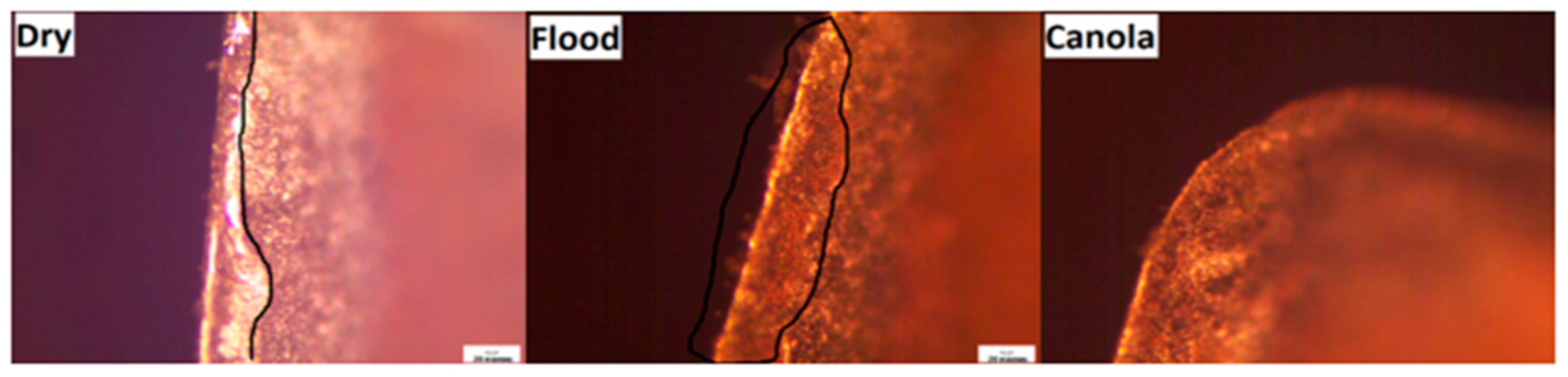 Lubricants 10 00069 g016