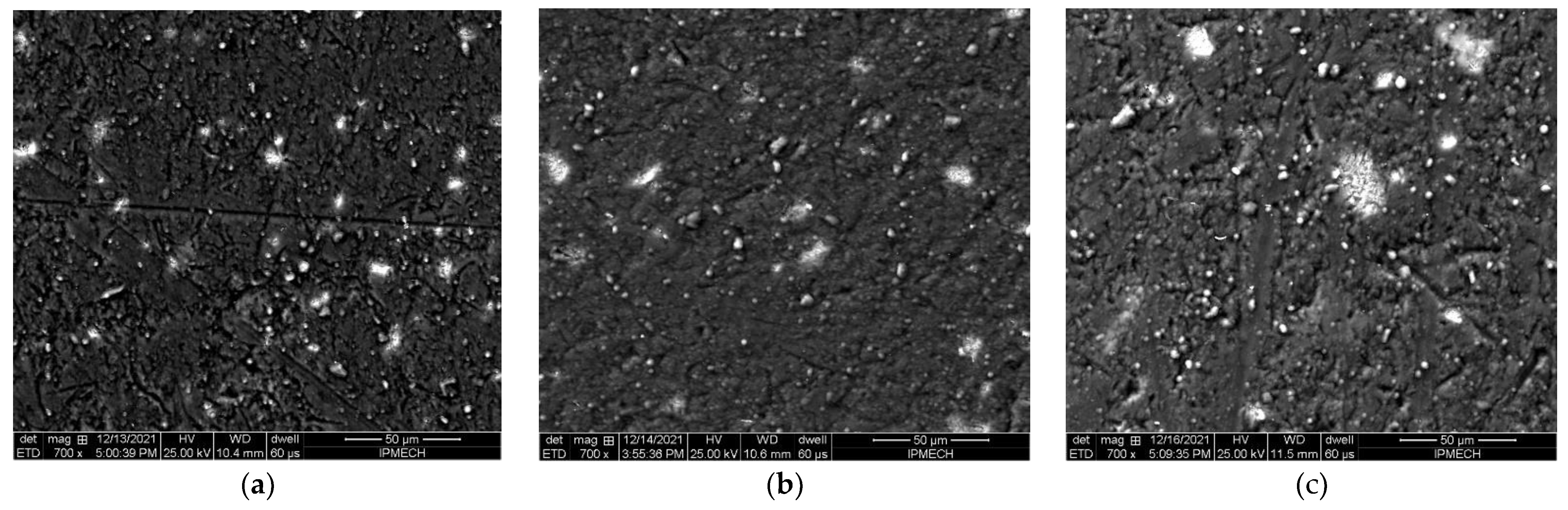 Lubricants 10 00085 g002