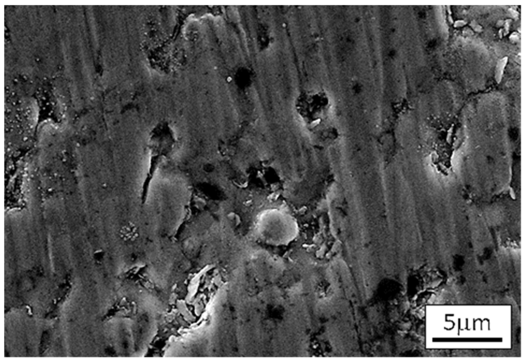 Lubricants 10 00114 g004