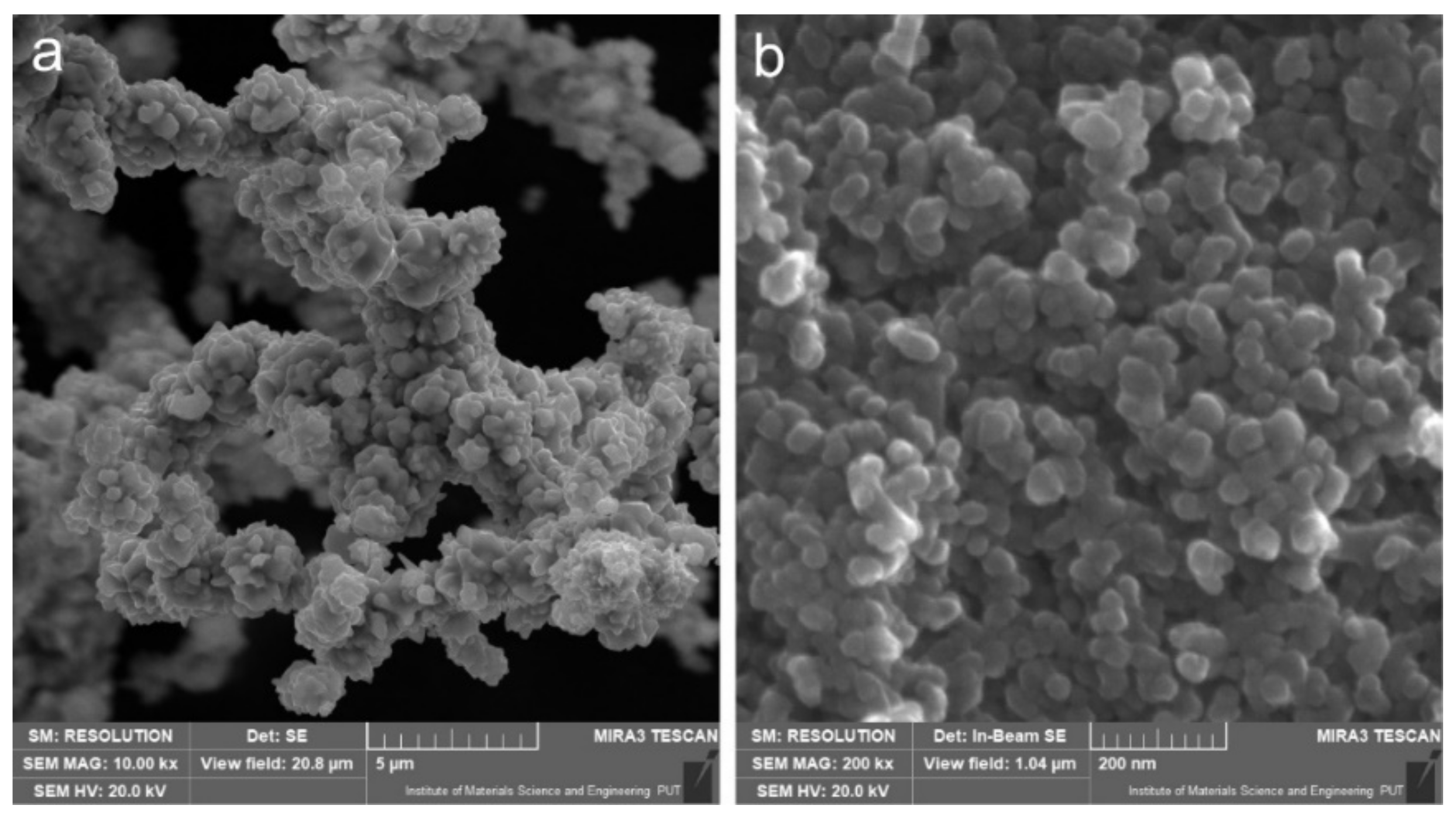 Lubricants 10 00120 g001