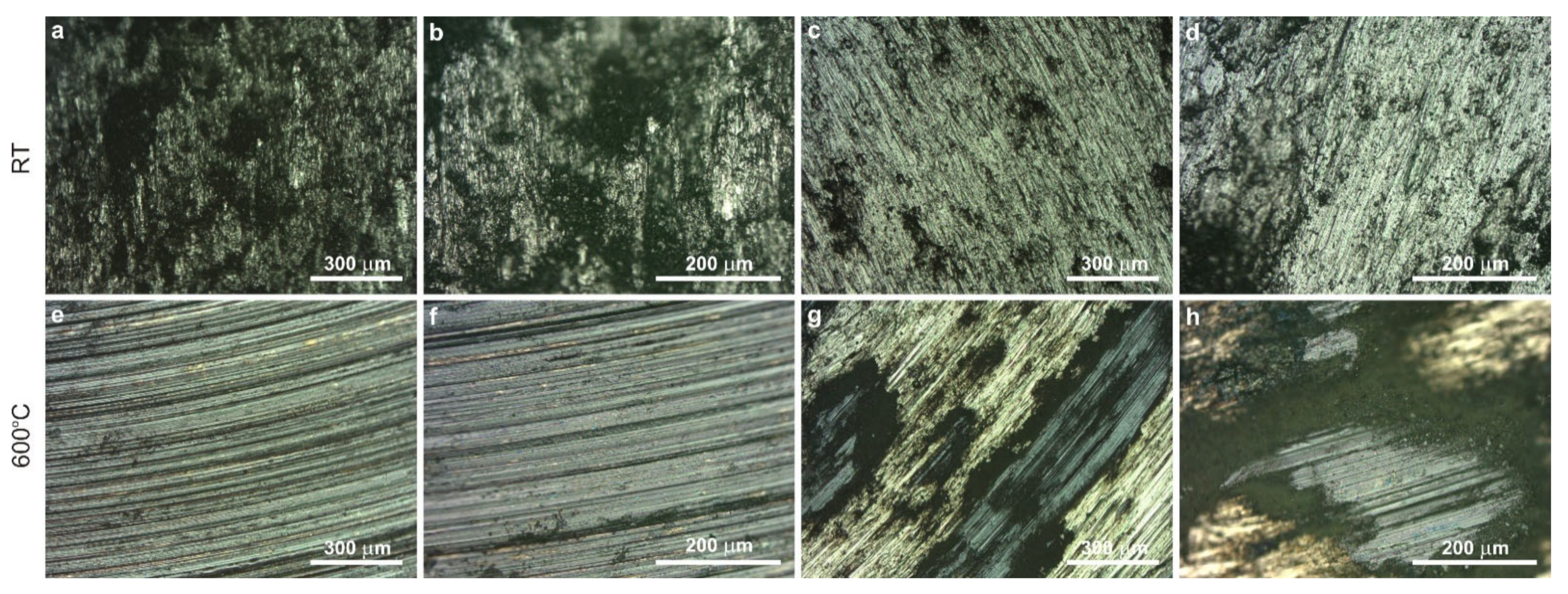 Lubricants 10 00120 g006