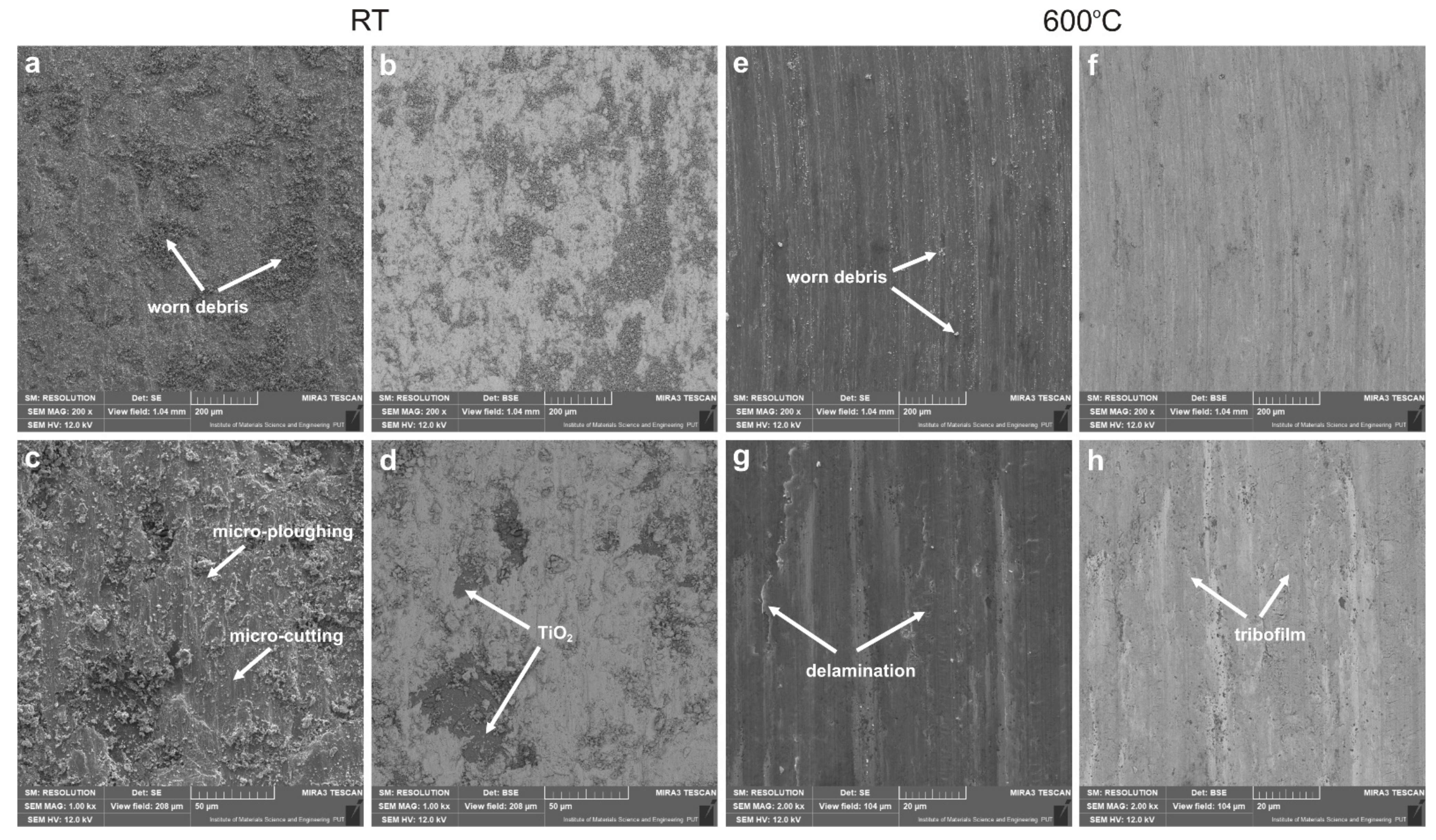 Lubricants 10 00120 g007