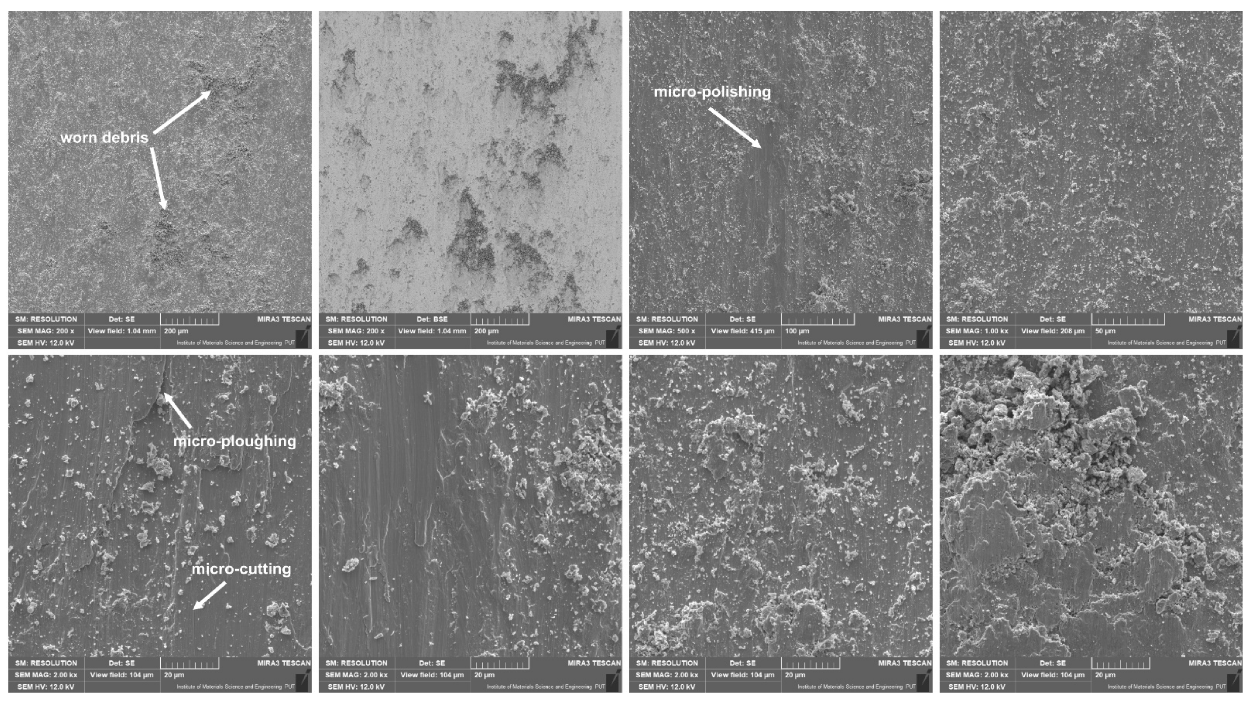 Lubricants 10 00120 g008