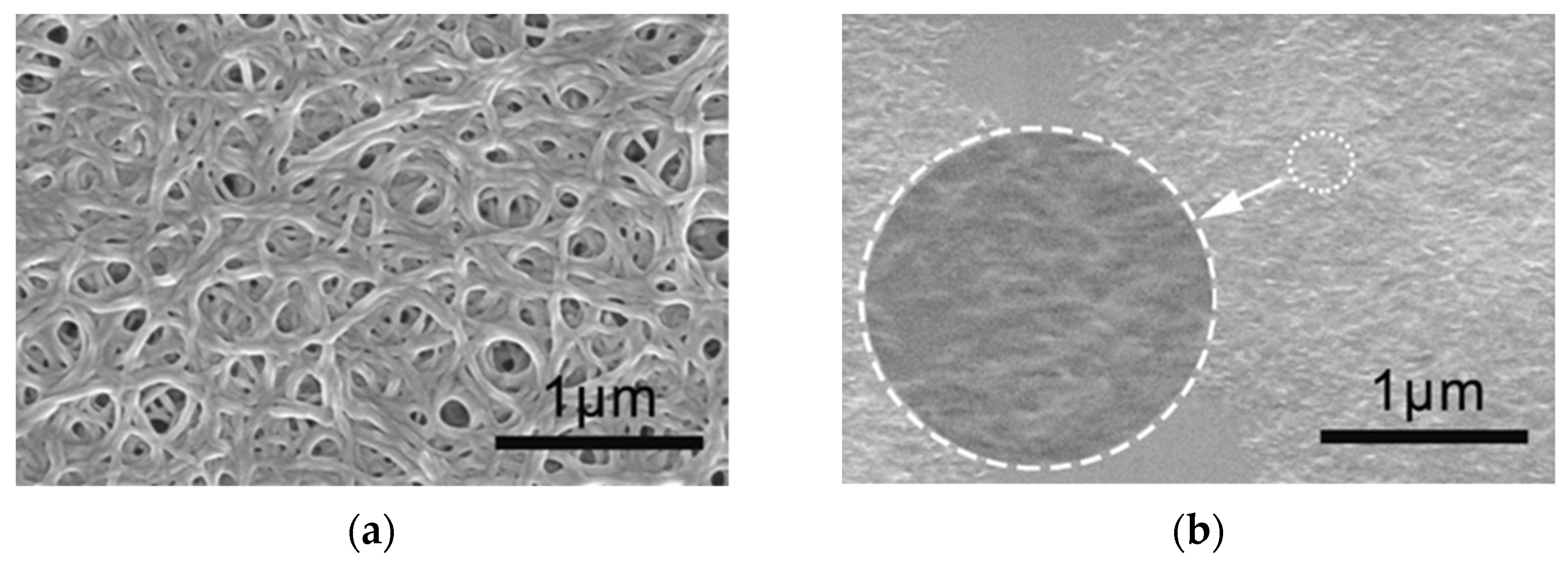 Lubricants 10 00123 g011