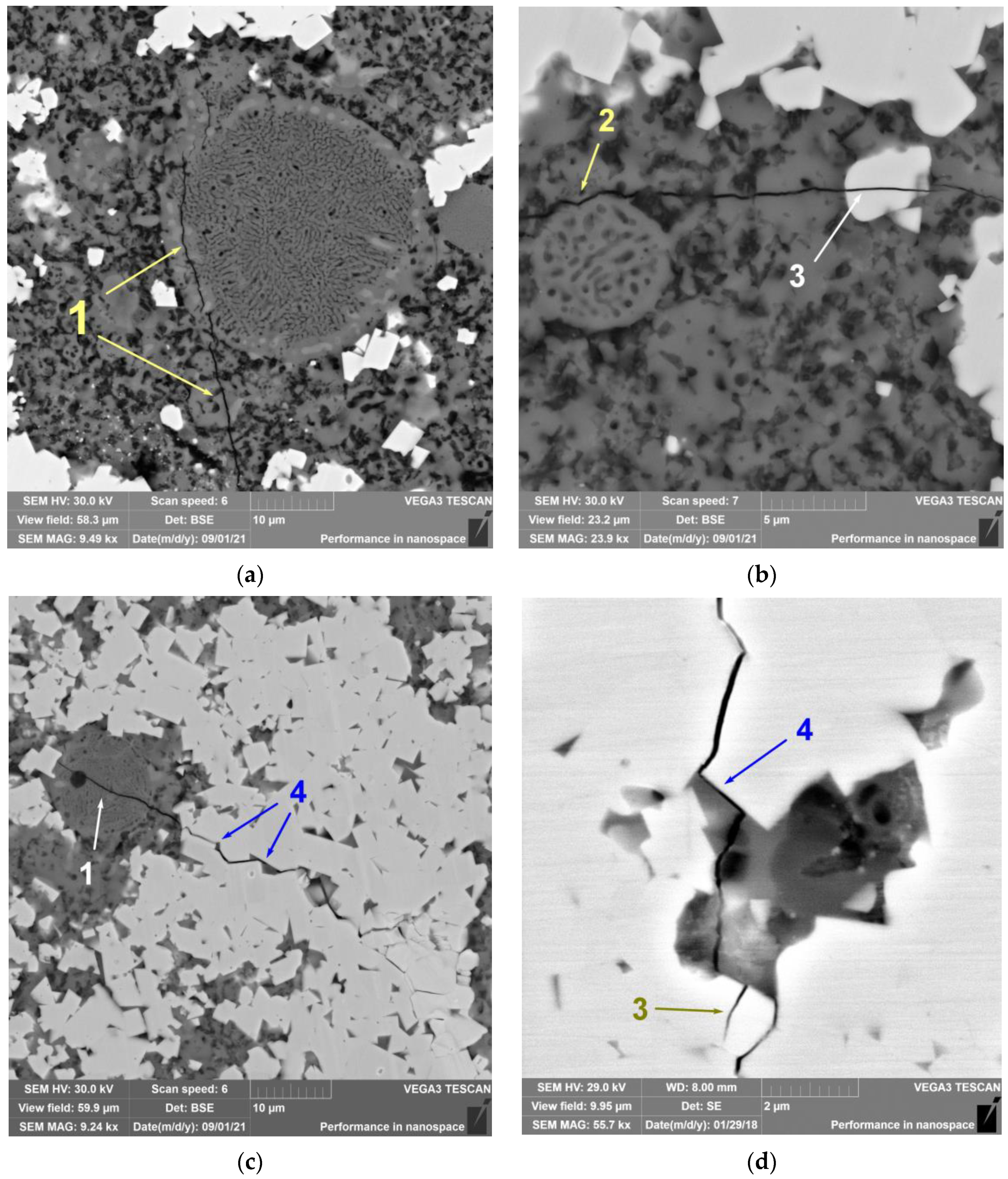 Lubricants 10 00140 g011
