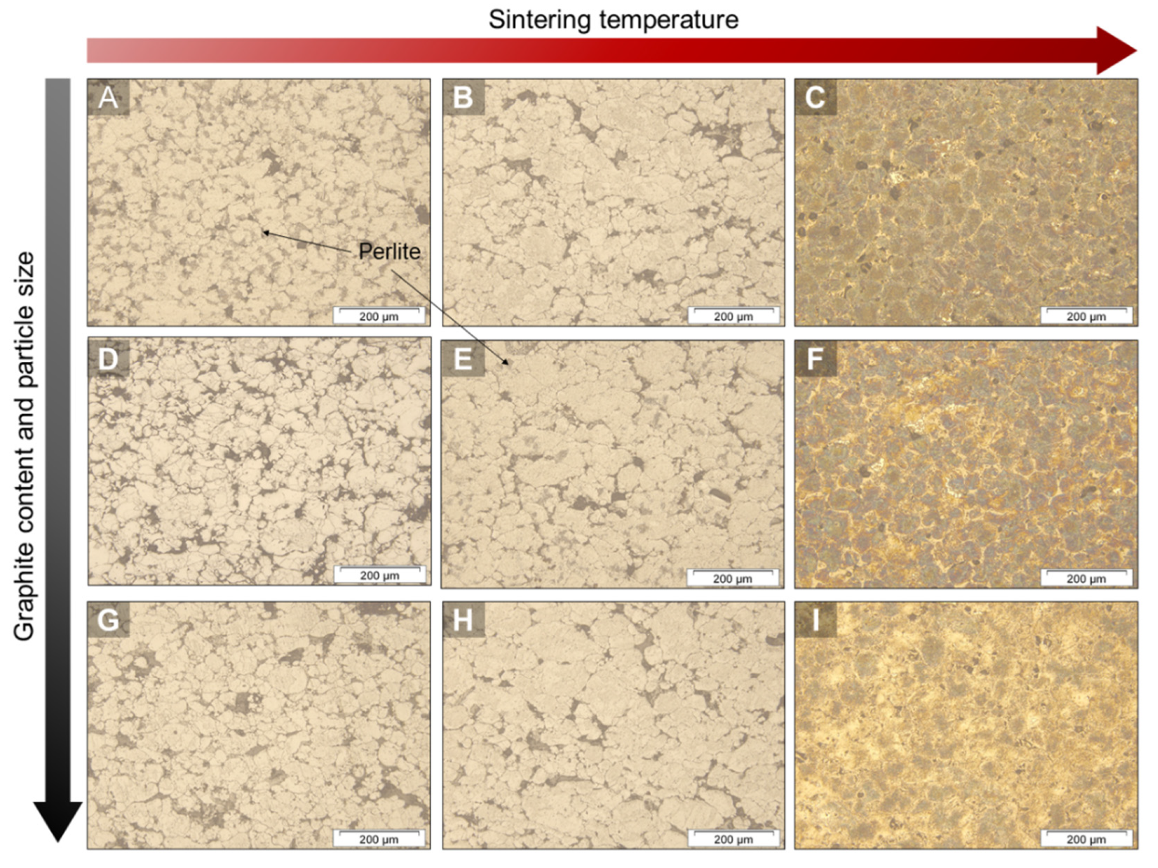 Lubricants 10 00142 g001