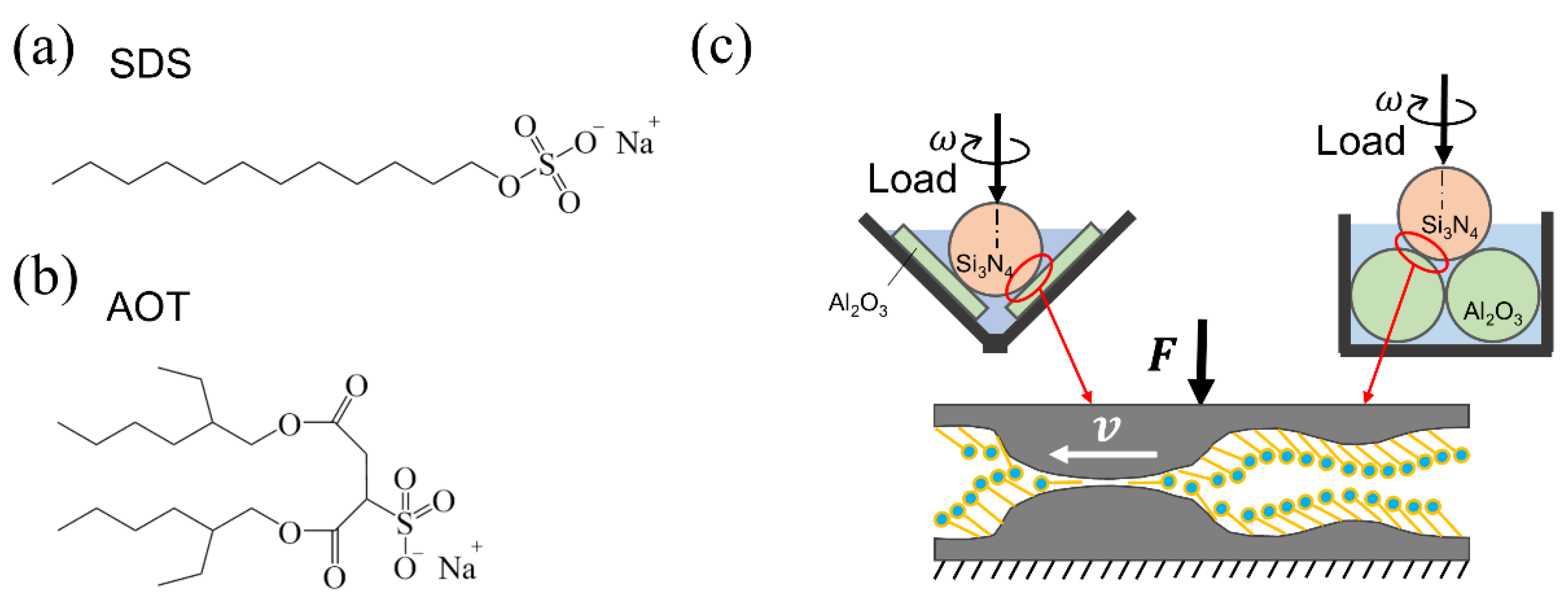 Lubricants 10 00147 g001