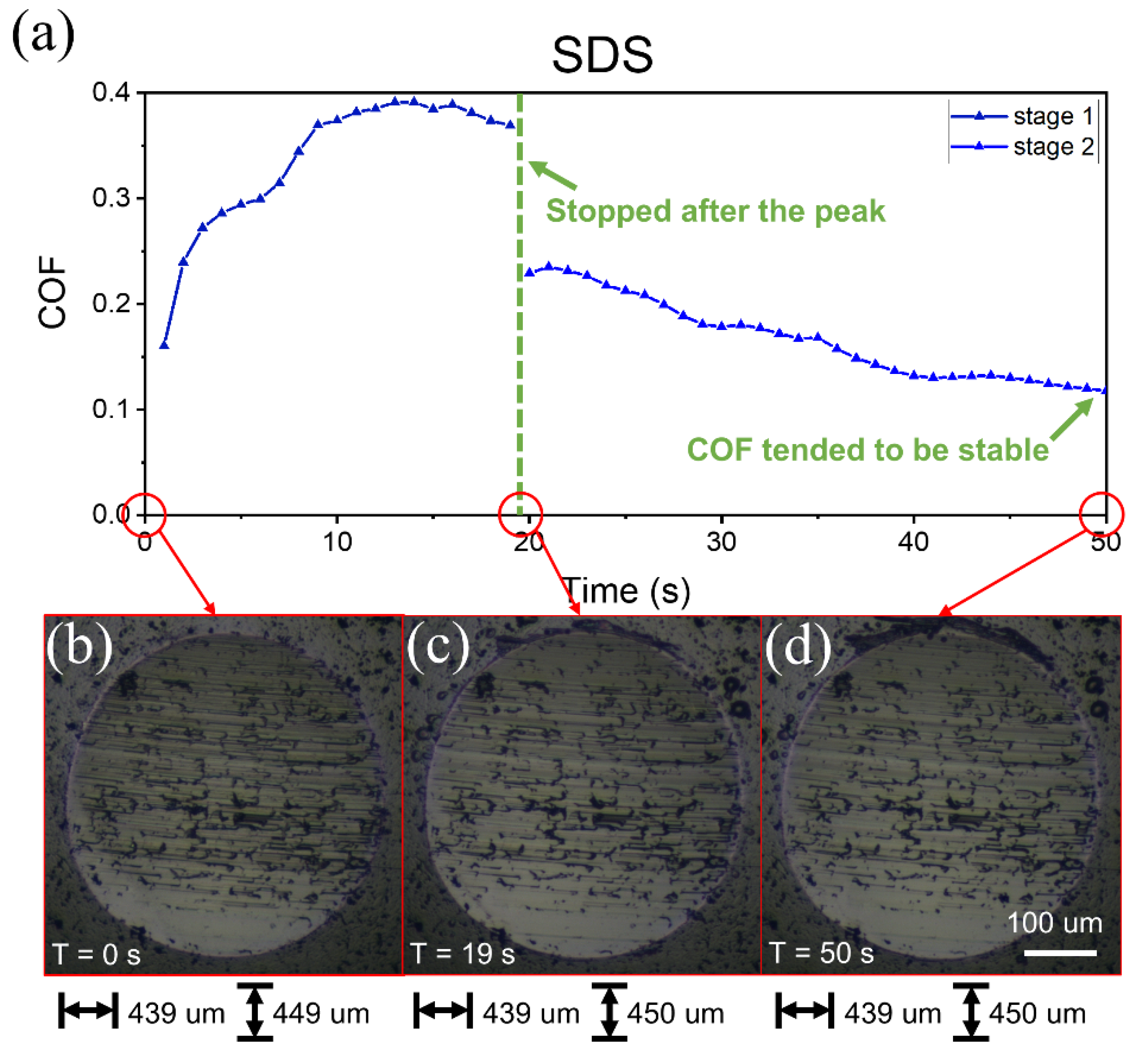 Lubricants 10 00147 g006