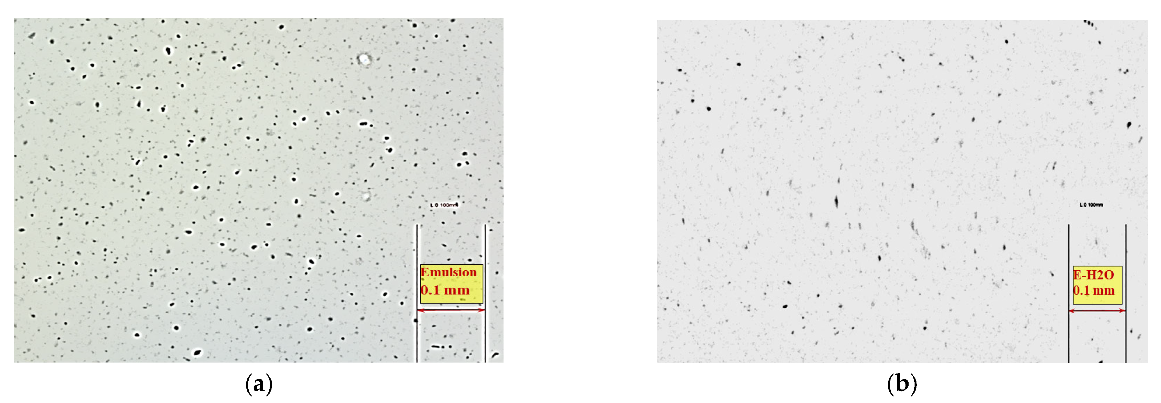 Lubricants 10 00173 g003