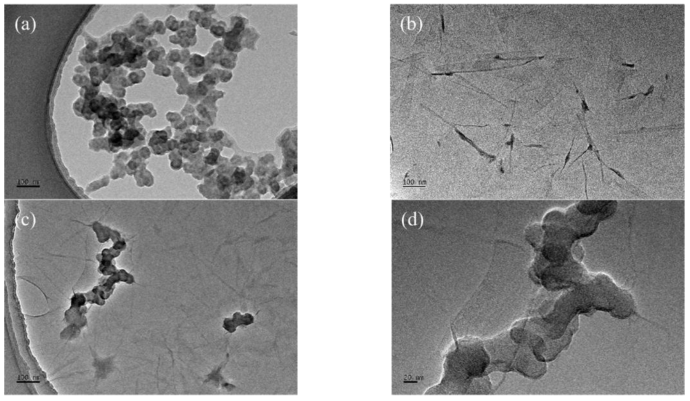 Lubricants 10 00175 g002