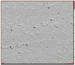 Lubricants 10 00187 i002