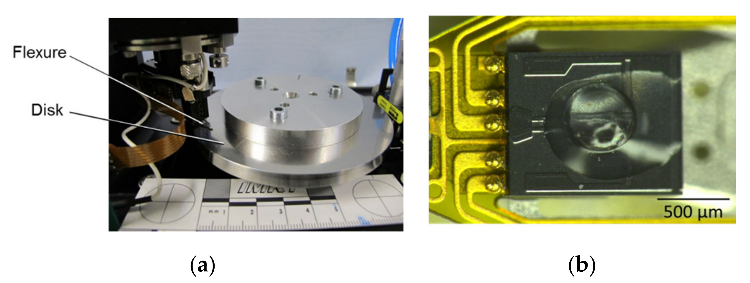 Lubricants 10 00198 g005