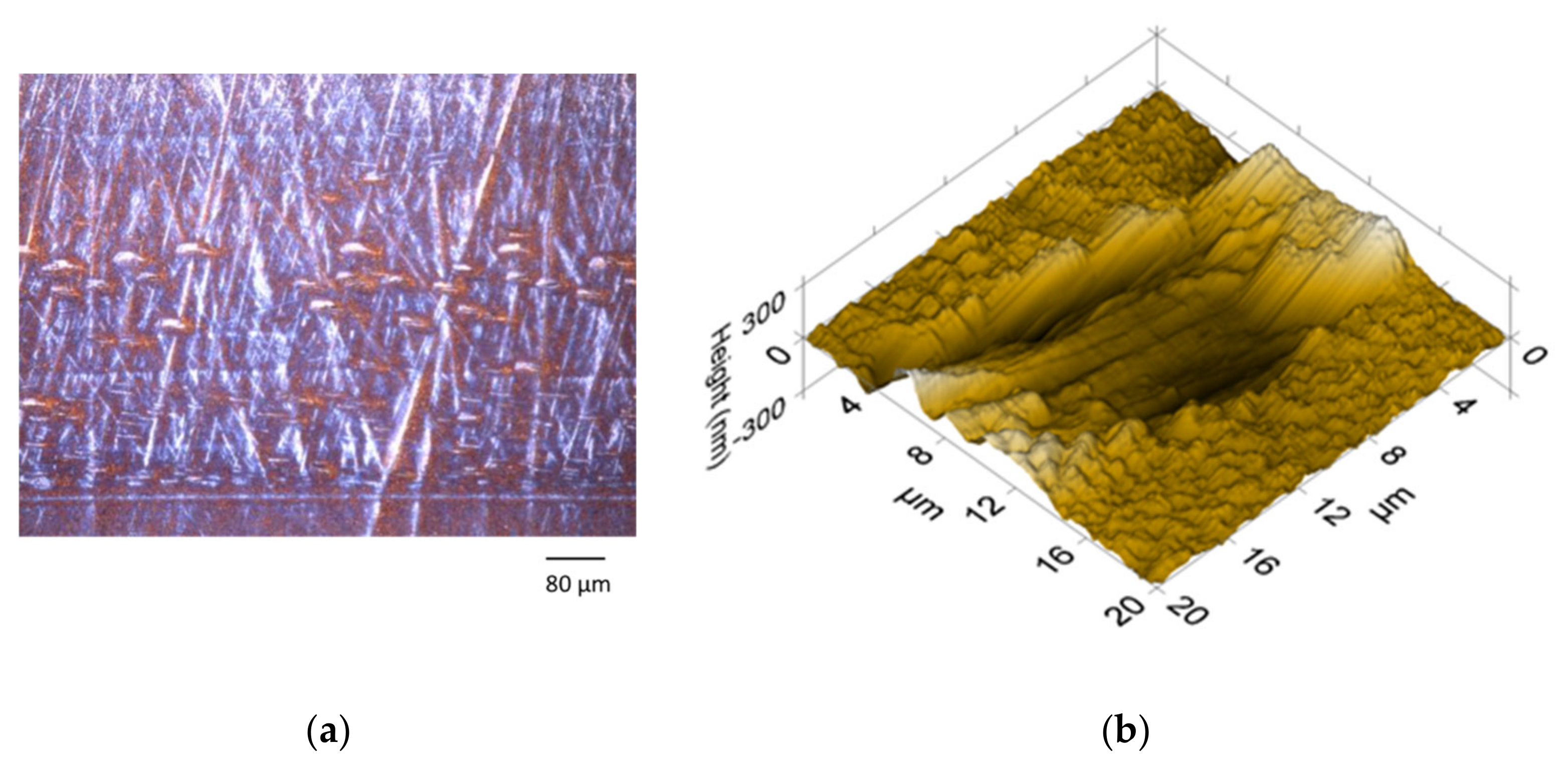 Lubricants 10 00198 g012