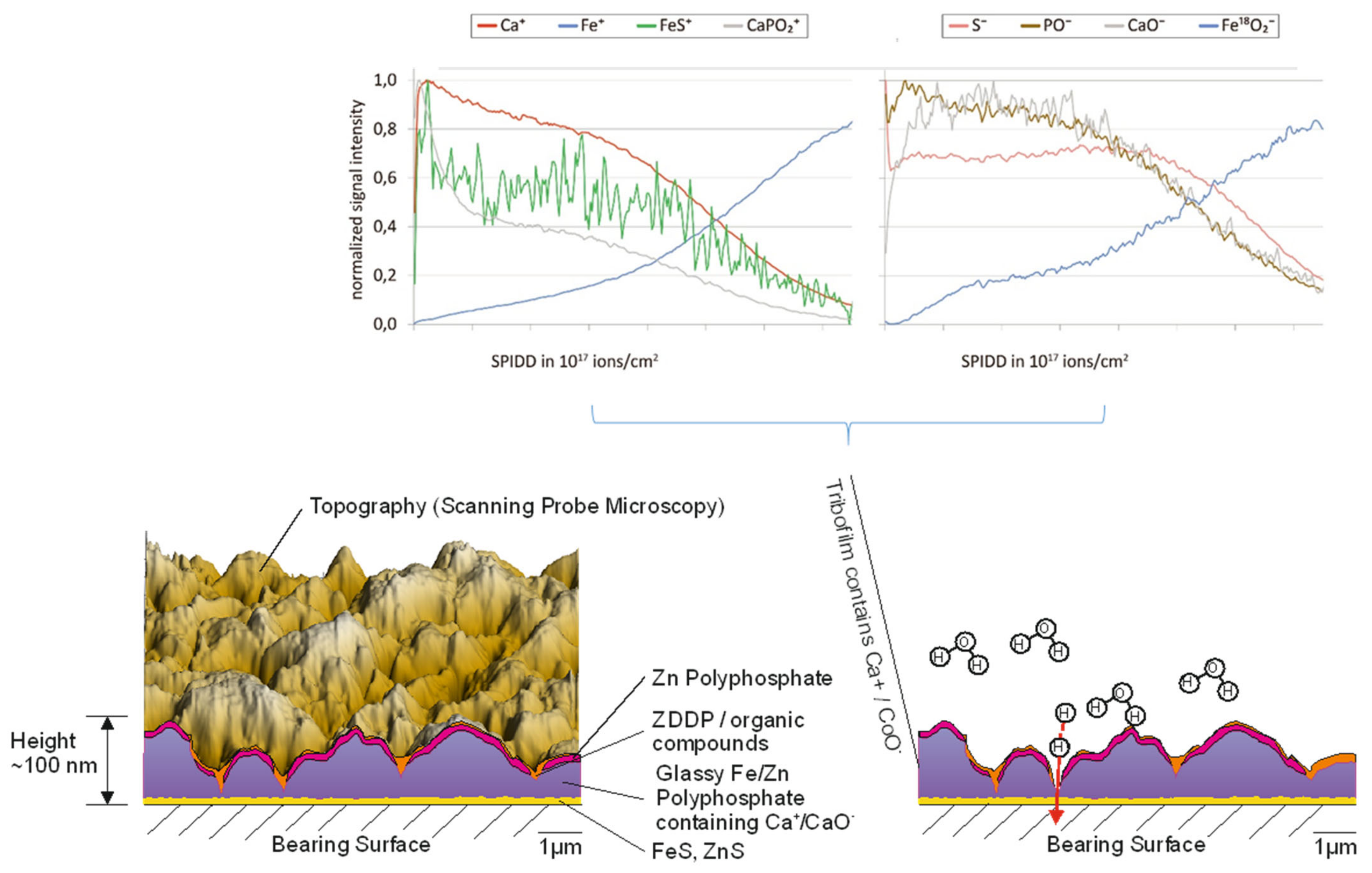 Lubricants 10 00198 g036