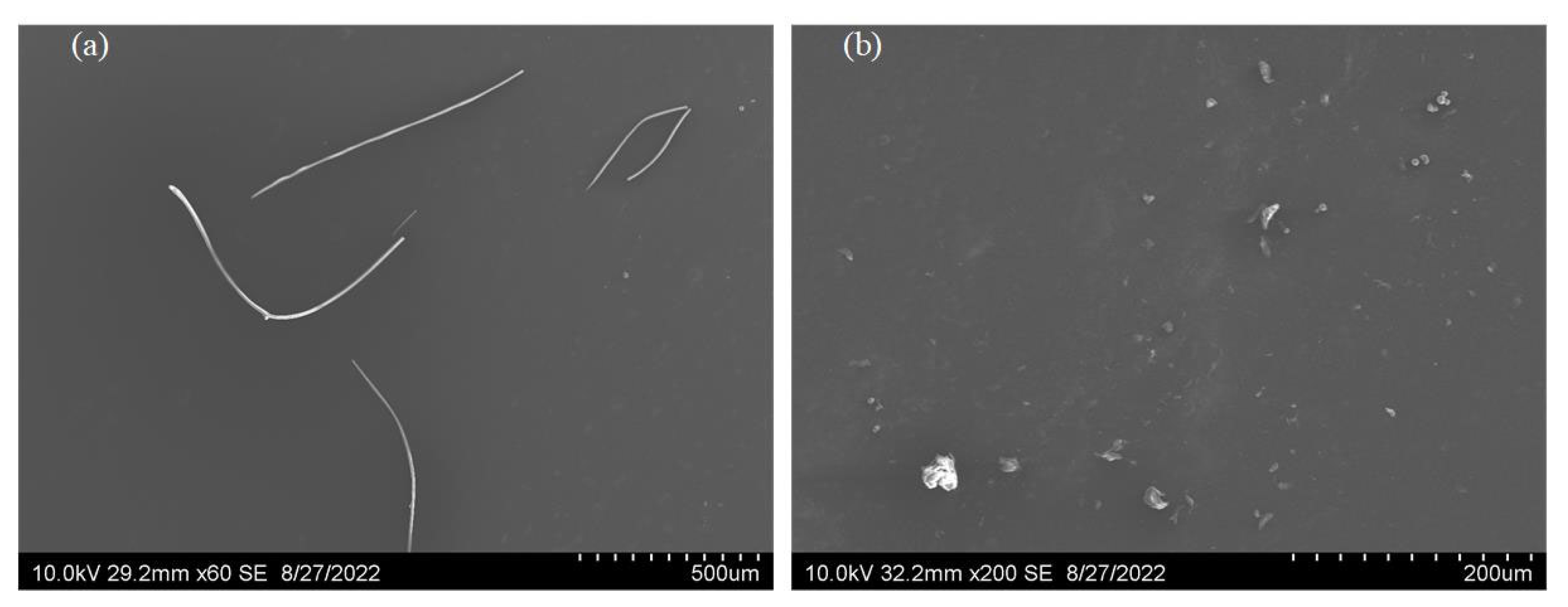 Lubricants 10 00220 g001