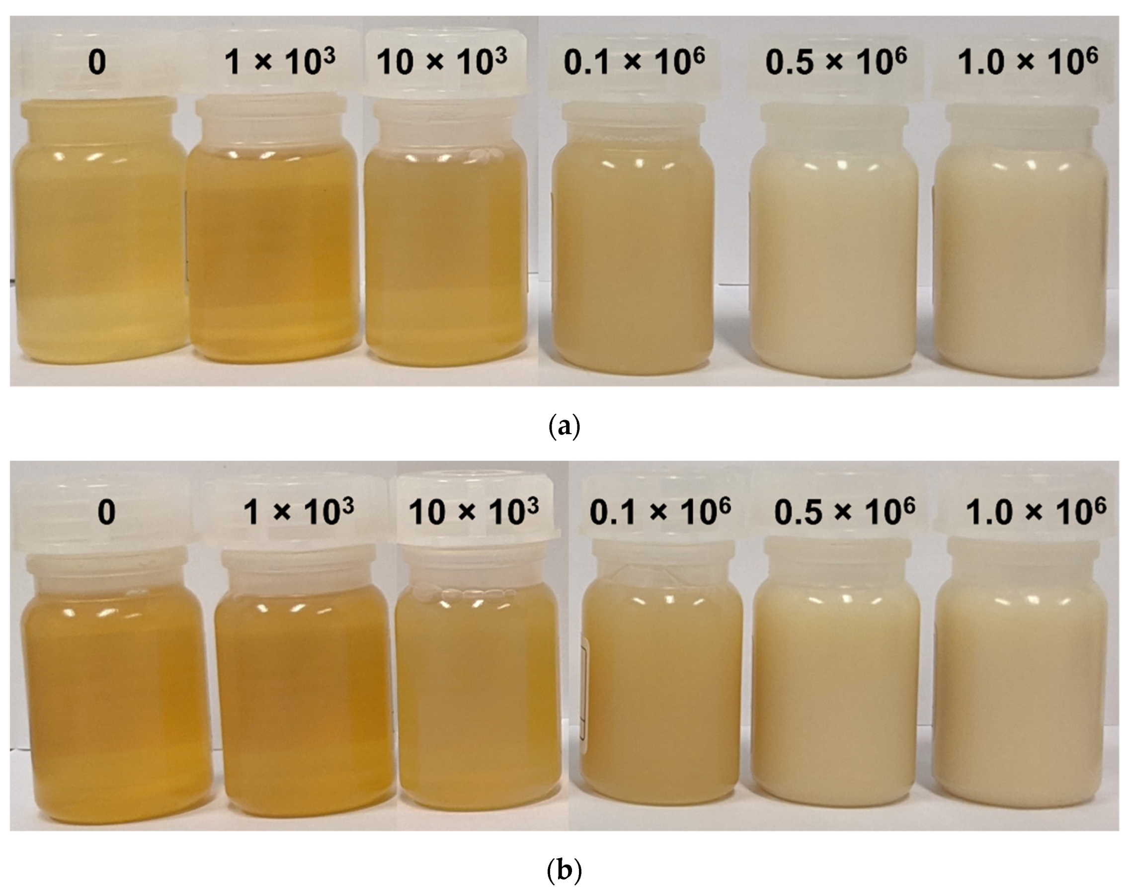 Lubricants 10 00224 g002