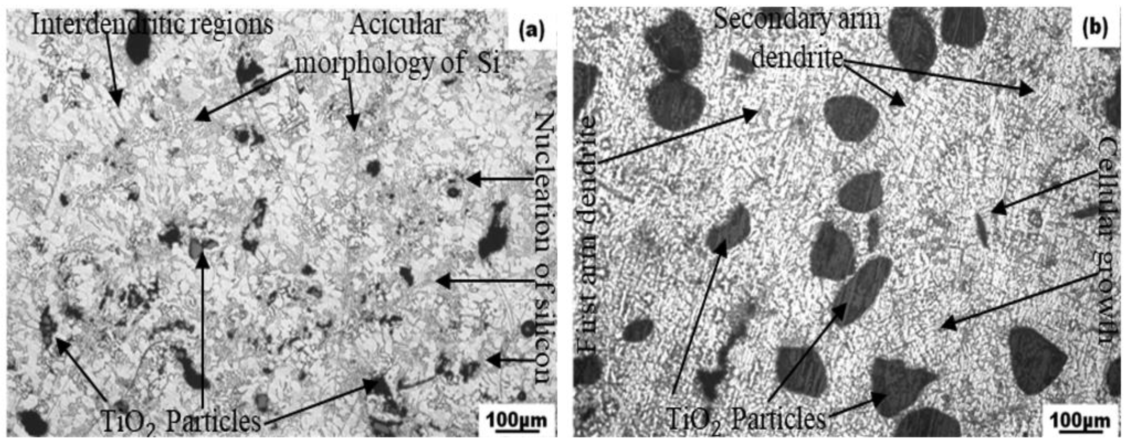 Lubricants 10 00251 g002