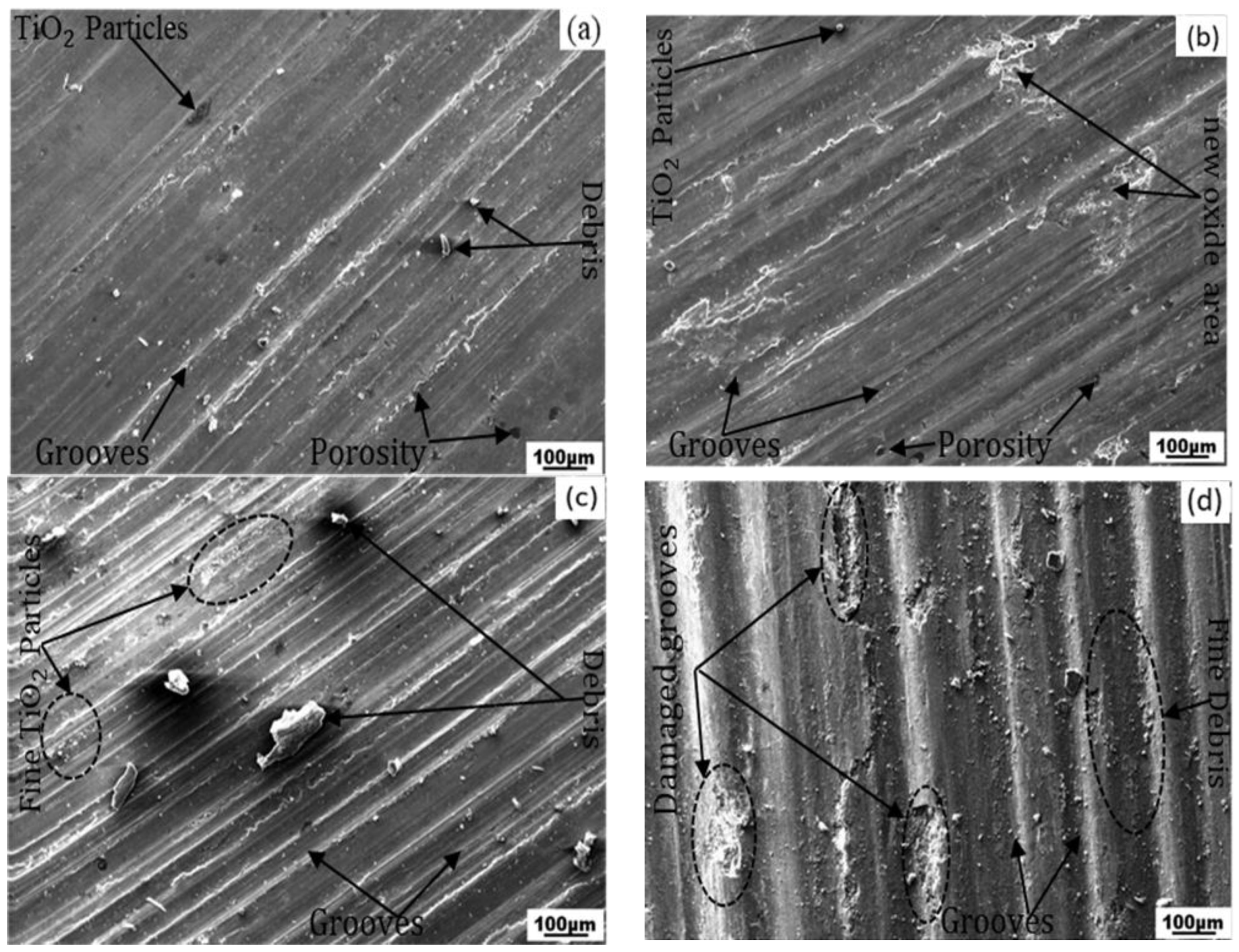 Lubricants 10 00251 g008