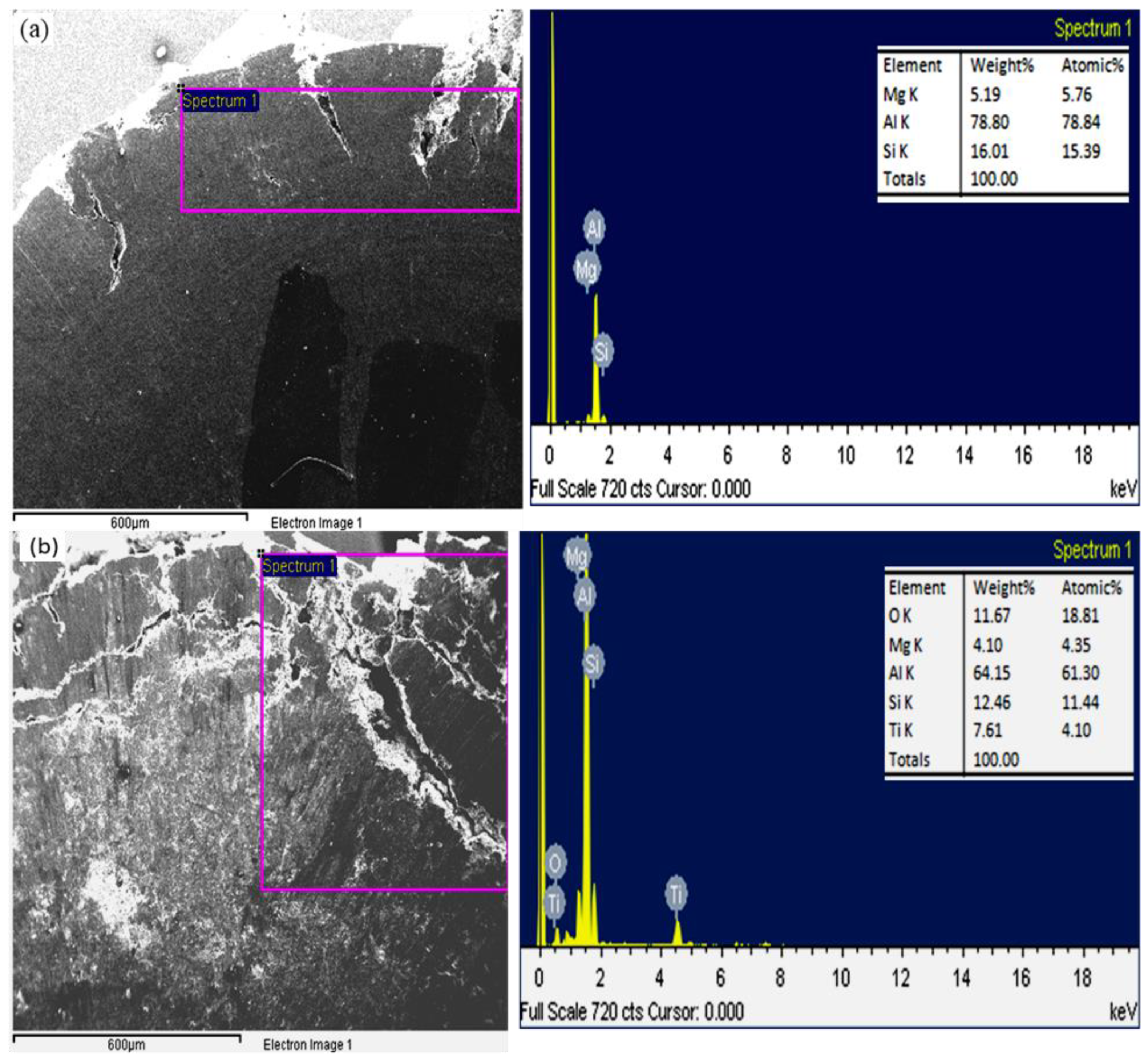 Lubricants 10 00251 g011