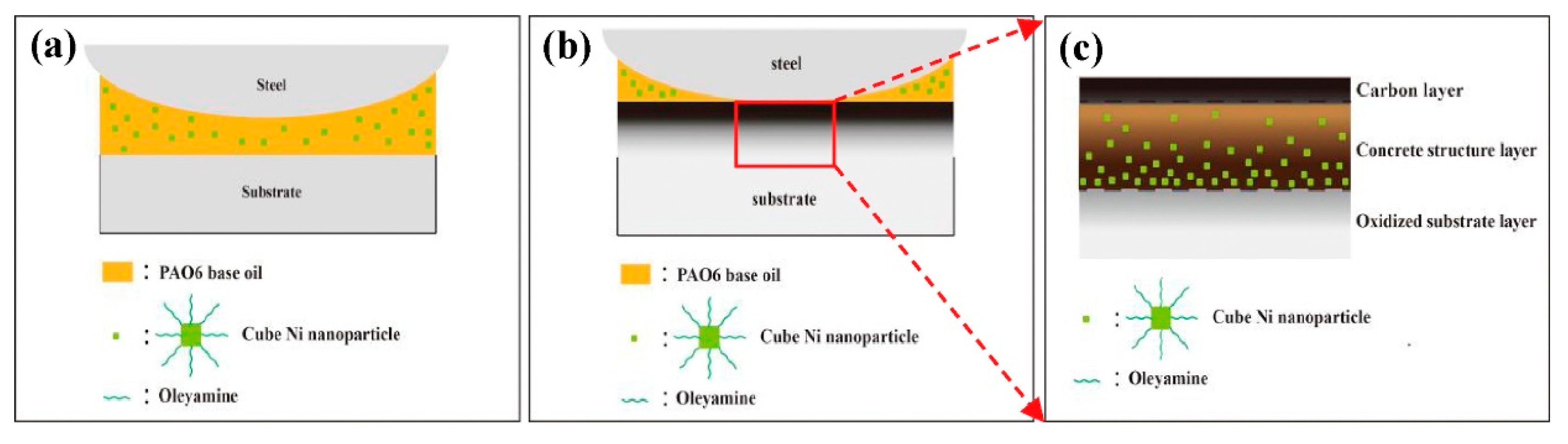 Lubricants 10 00312 g002