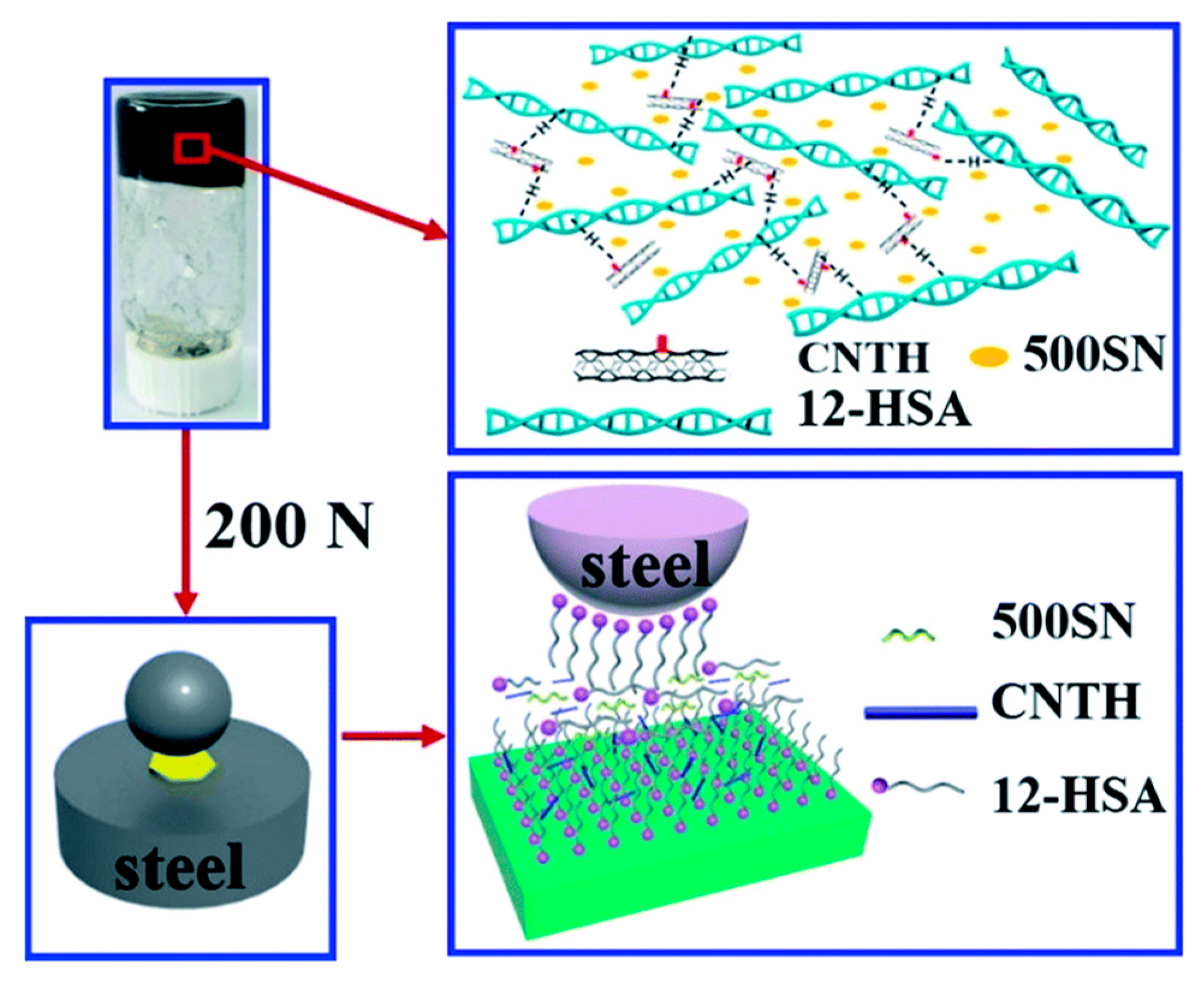 Lubricants 10 00312 g009