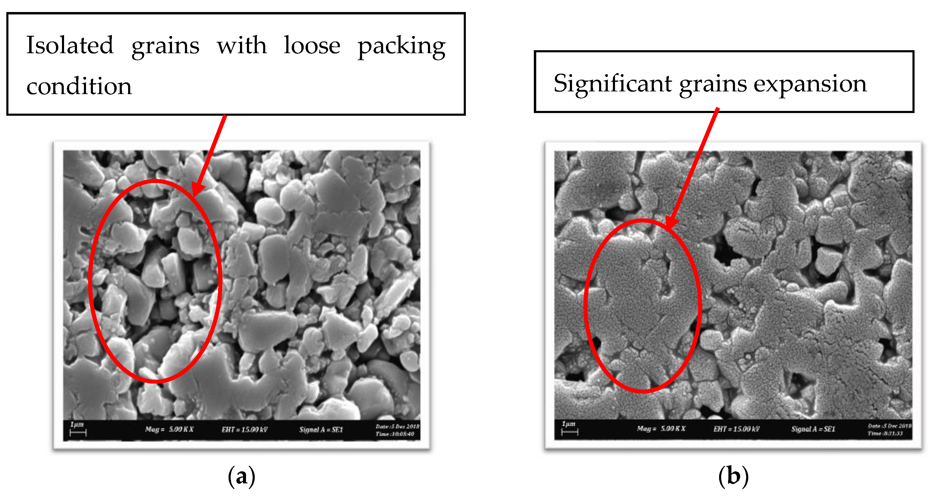 Lubricants 10 00325 g006