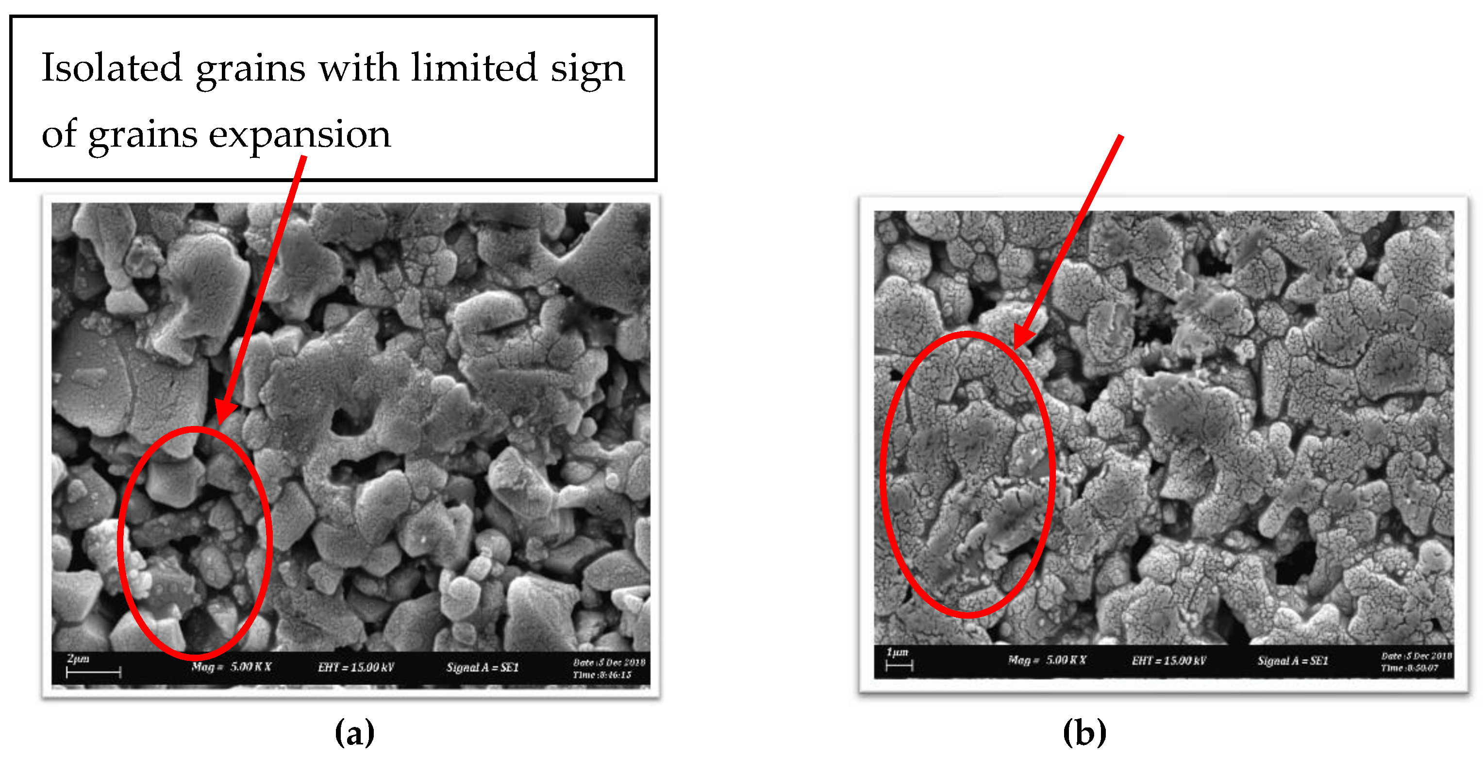 Lubricants 10 00325 g007