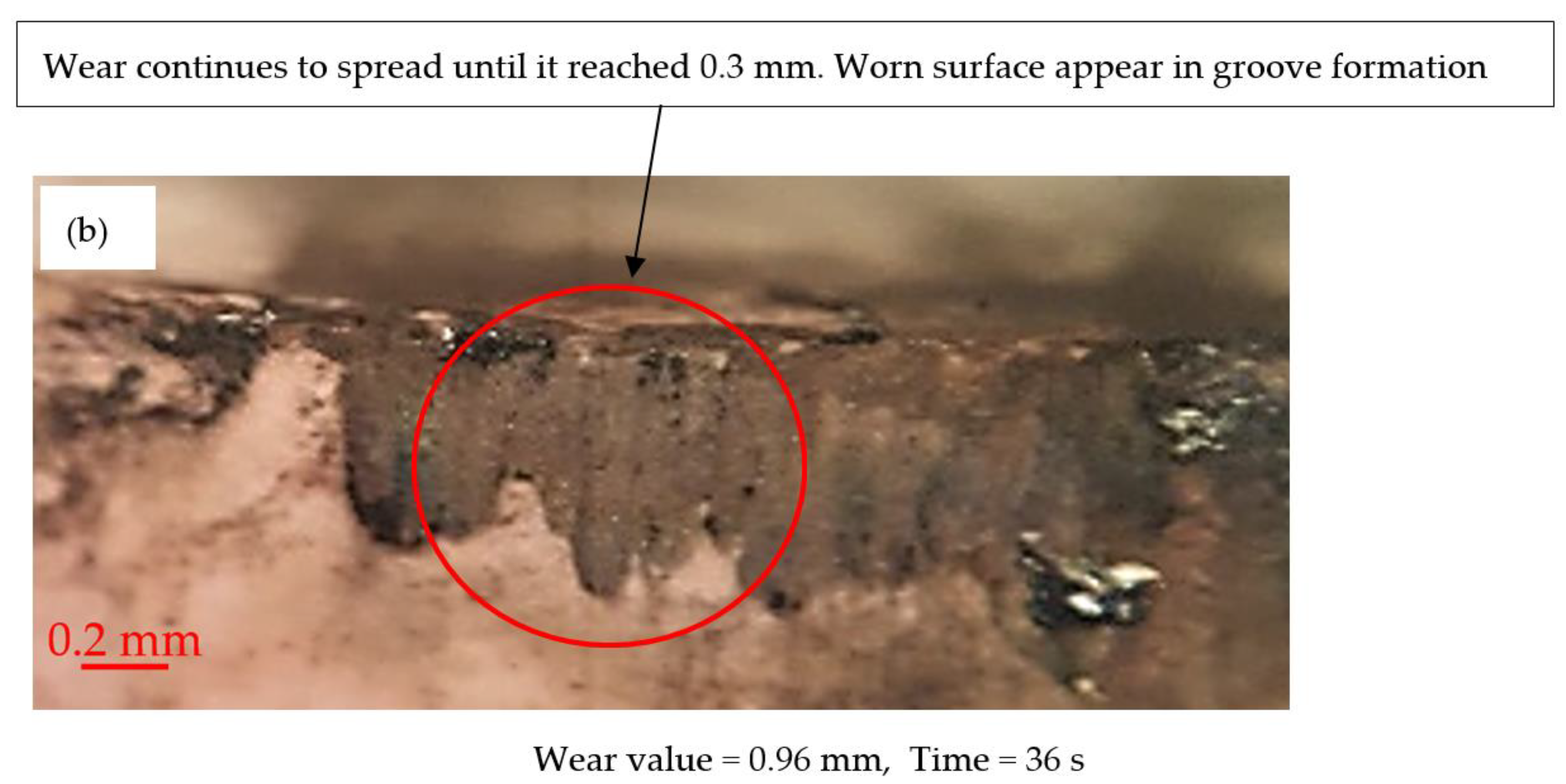 Lubricants 10 00325 g010b