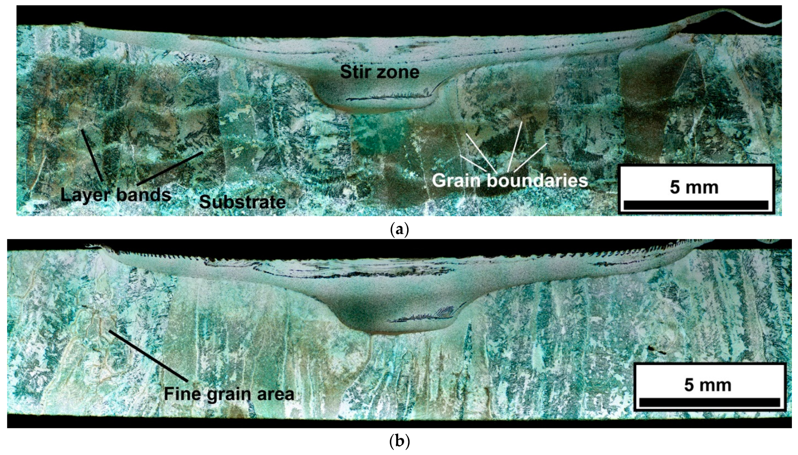 Lubricants 10 00349 g002 Lubricants 10 00349 g002