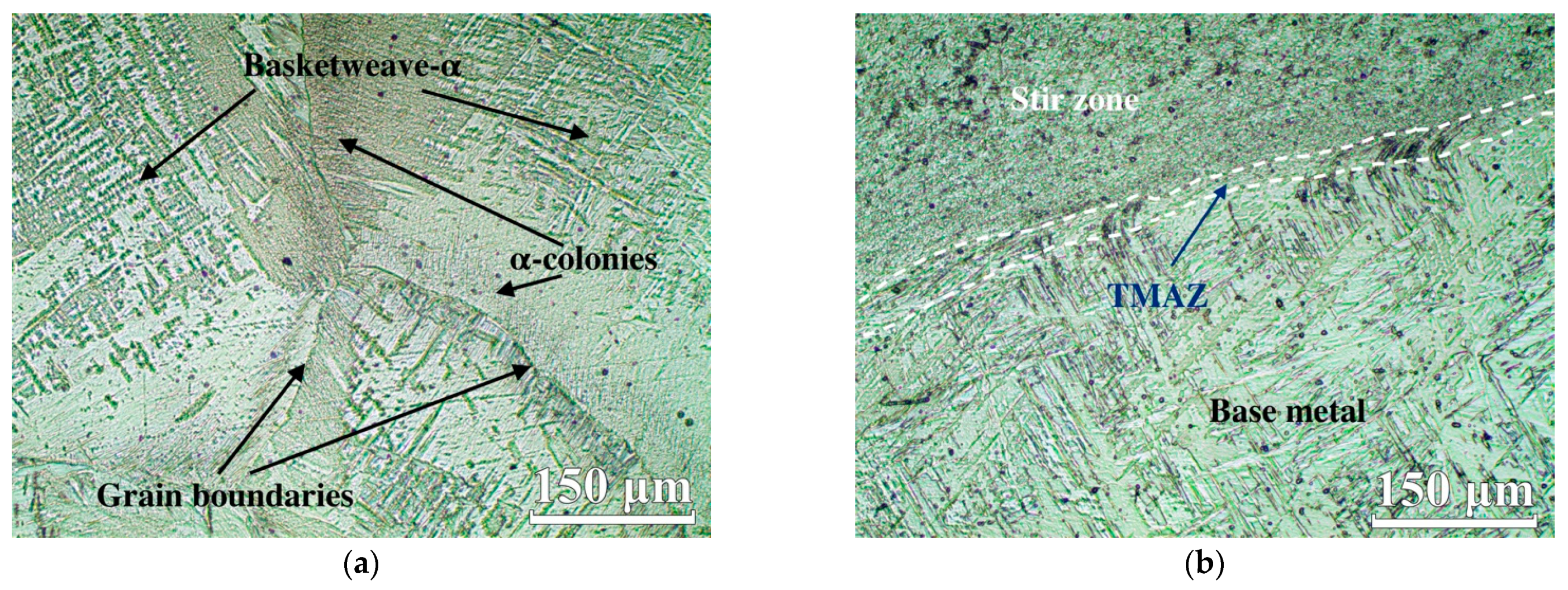 Lubricants 10 00349 g003a Lubricants 10 00349 g003a