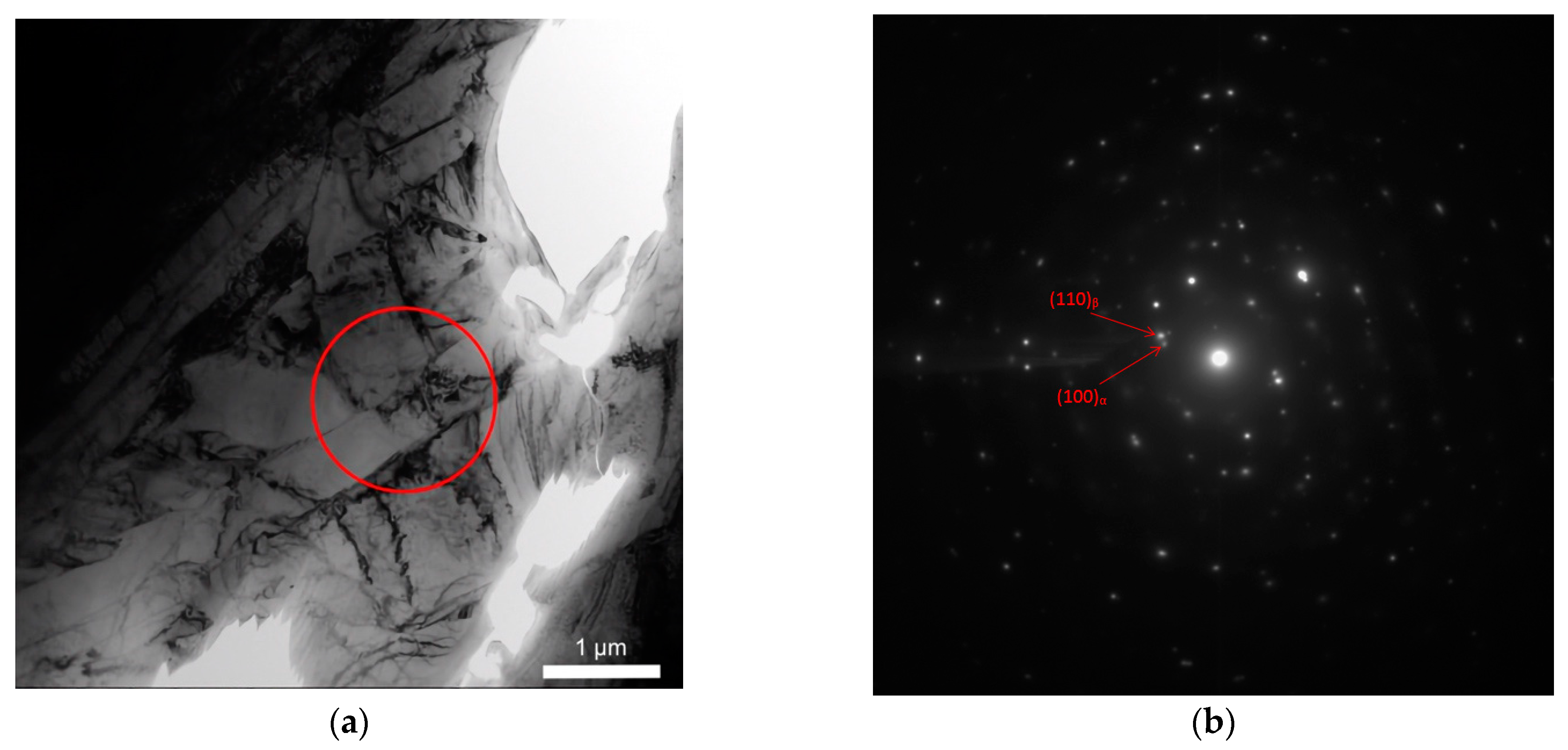 Lubricants 10 00349 g004a Lubricants 10 00349 g004a
