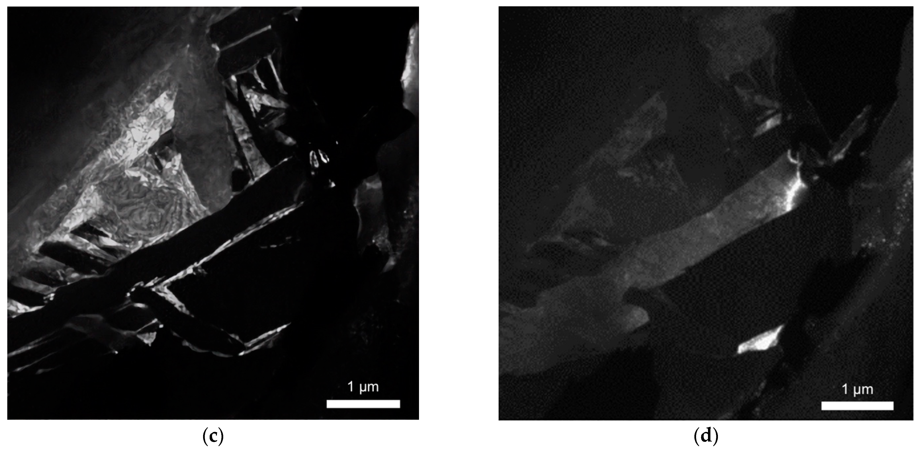 Lubricants 10 00349 g004b Lubricants 10 00349 g004b