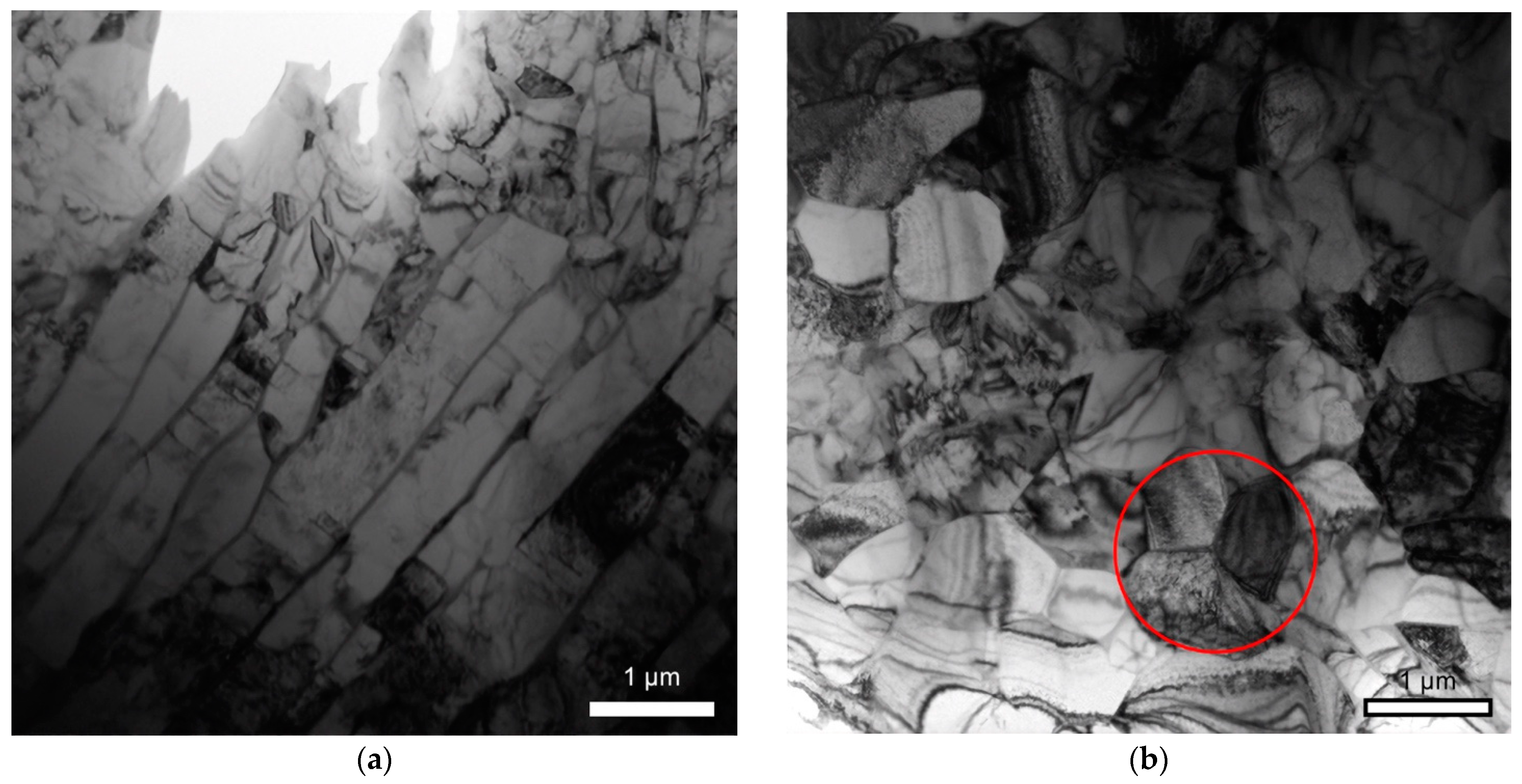 Lubricants 10 00349 g005a Lubricants 10 00349 g005a