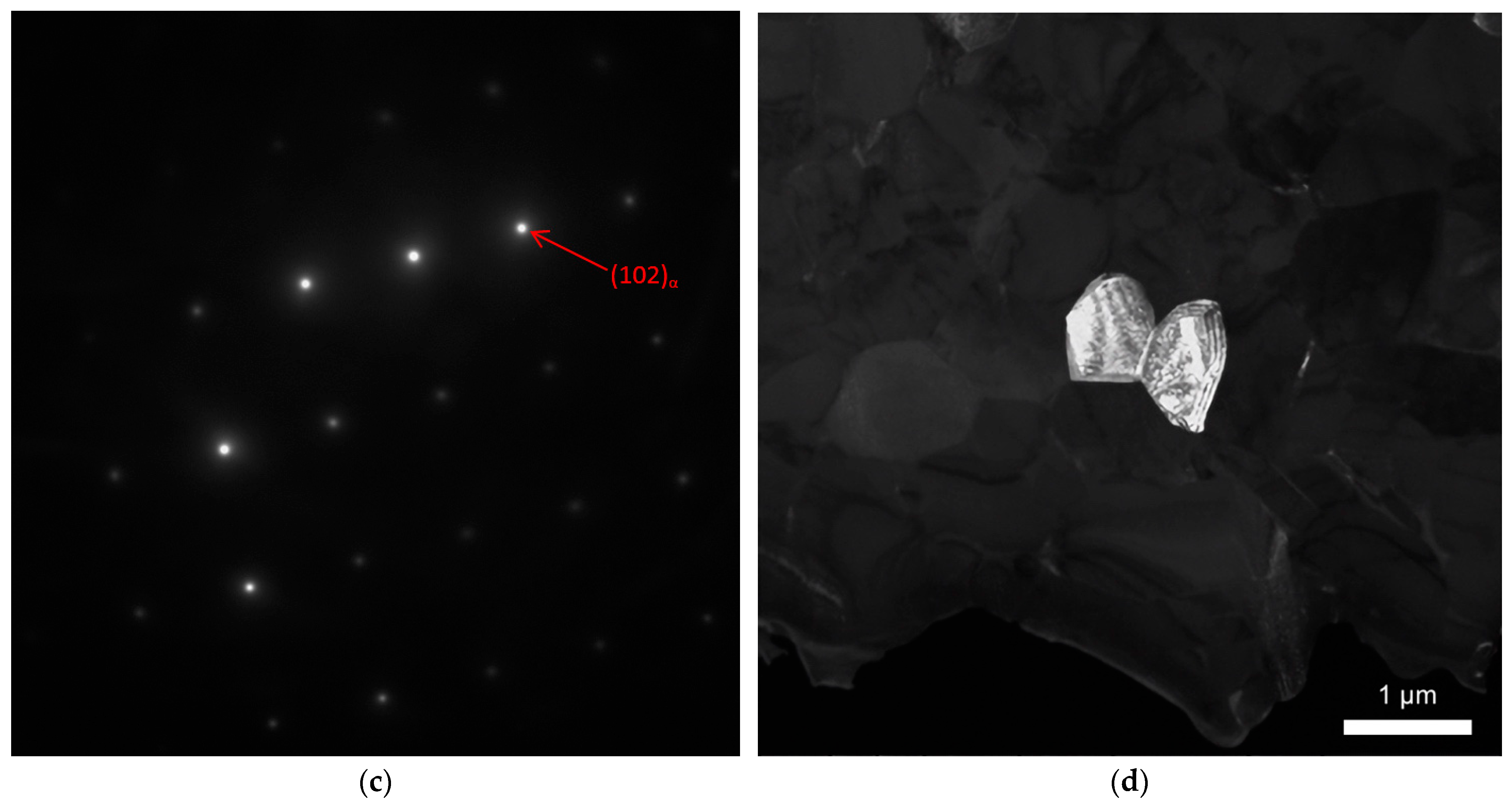 Lubricants 10 00349 g005b Lubricants 10 00349 g005b