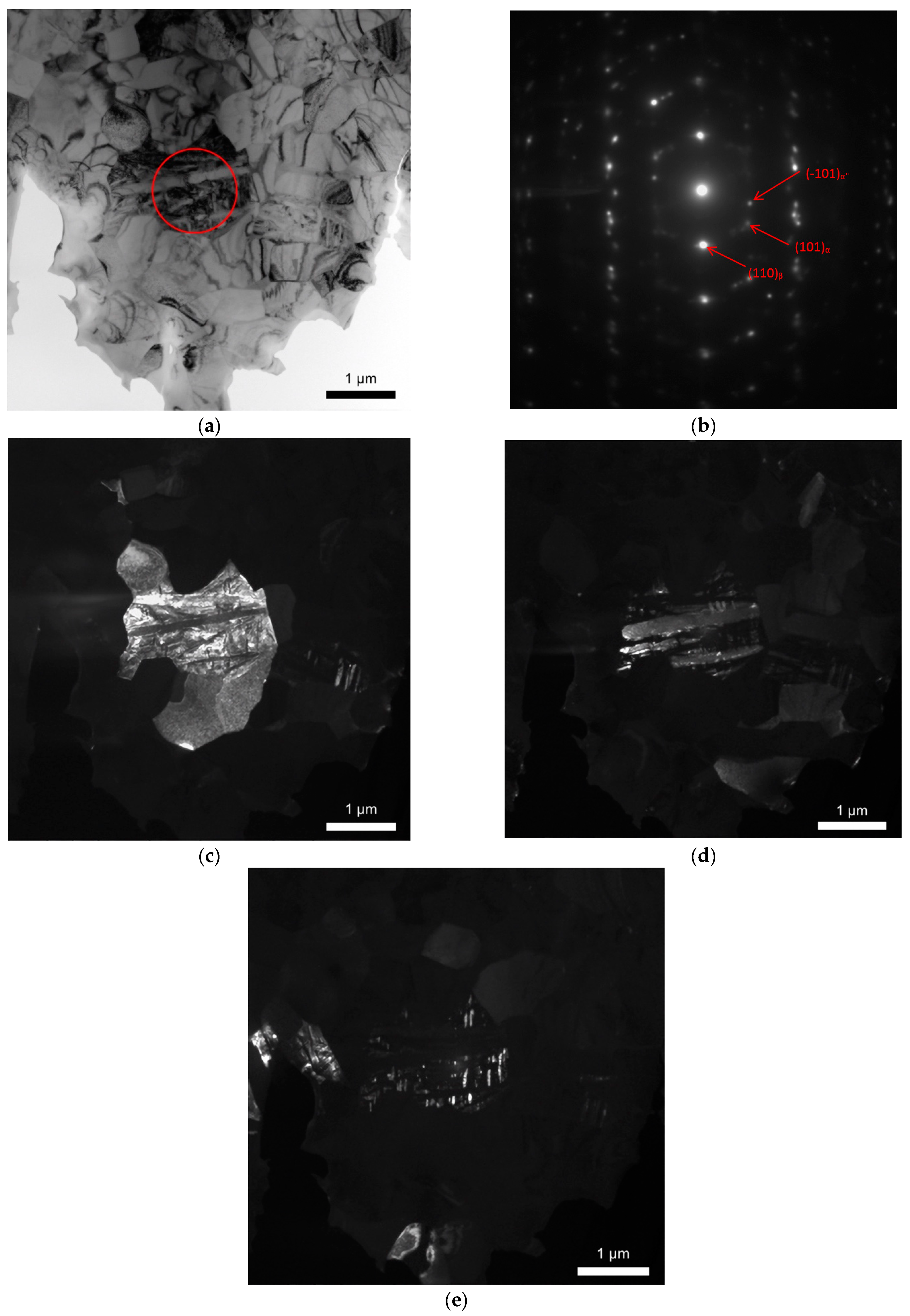 Lubricants 10 00349 g006 Lubricants 10 00349 g006