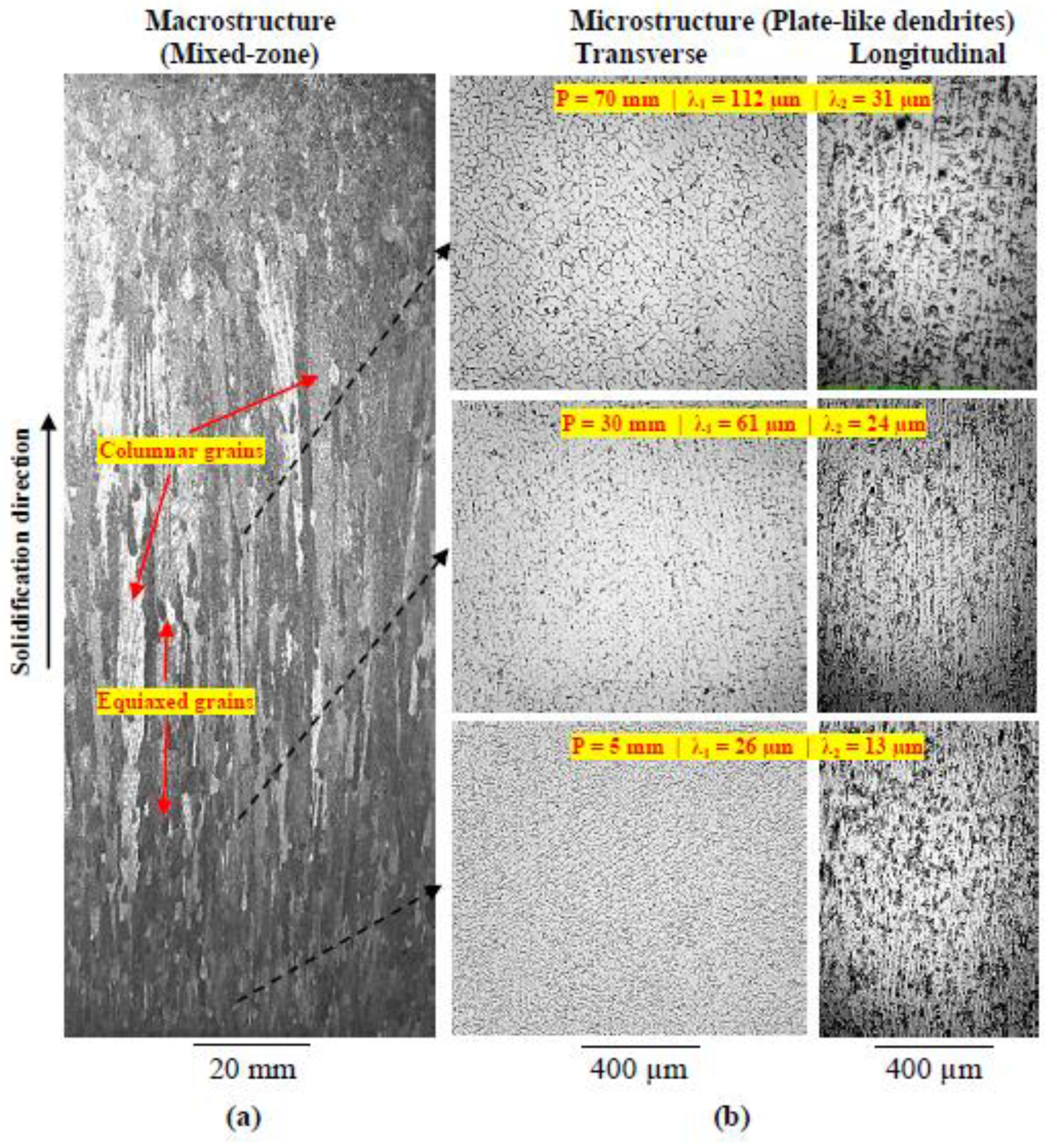 Lubricants 10 00352 g004