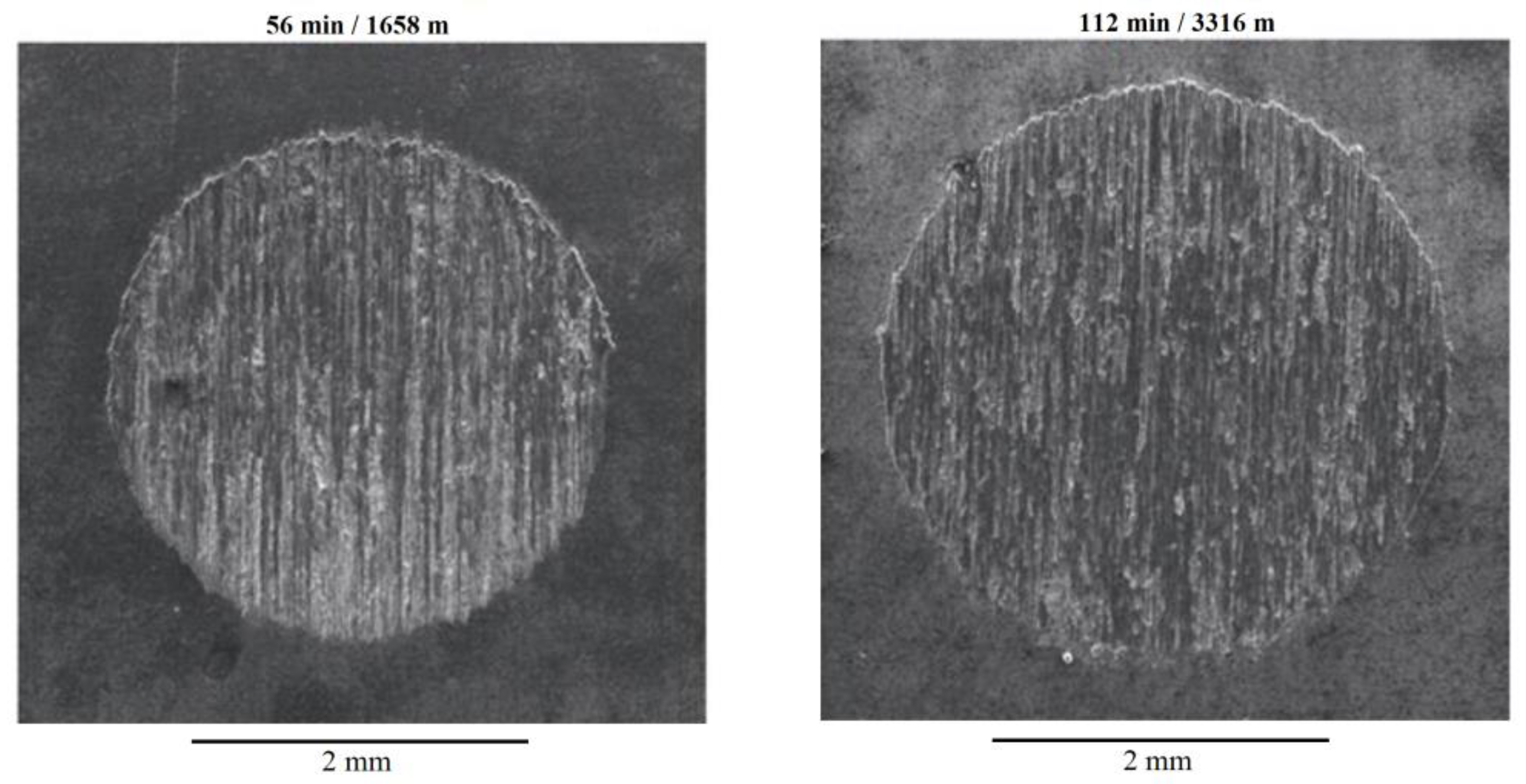 Lubricants 10 00352 g009