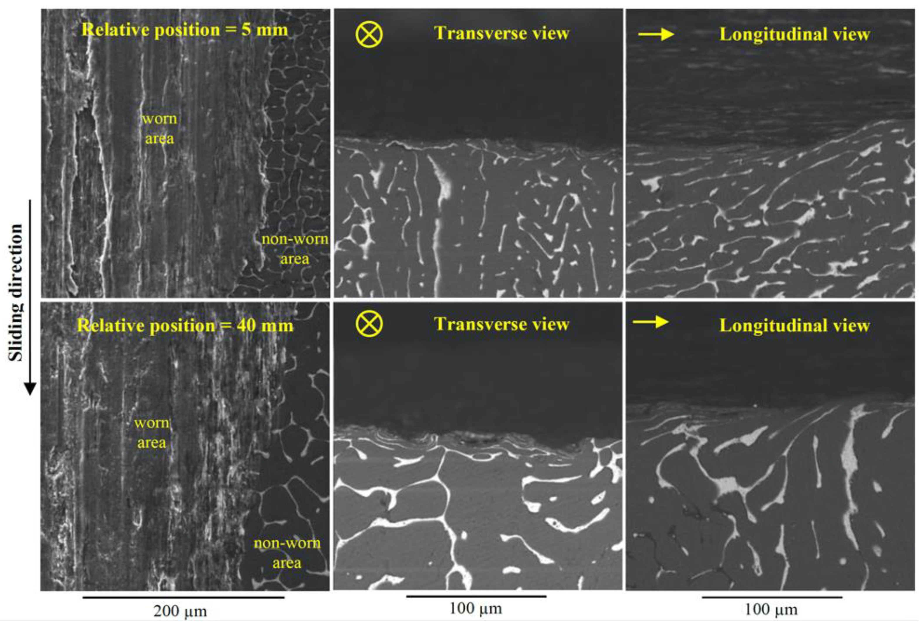 Lubricants 10 00352 g010